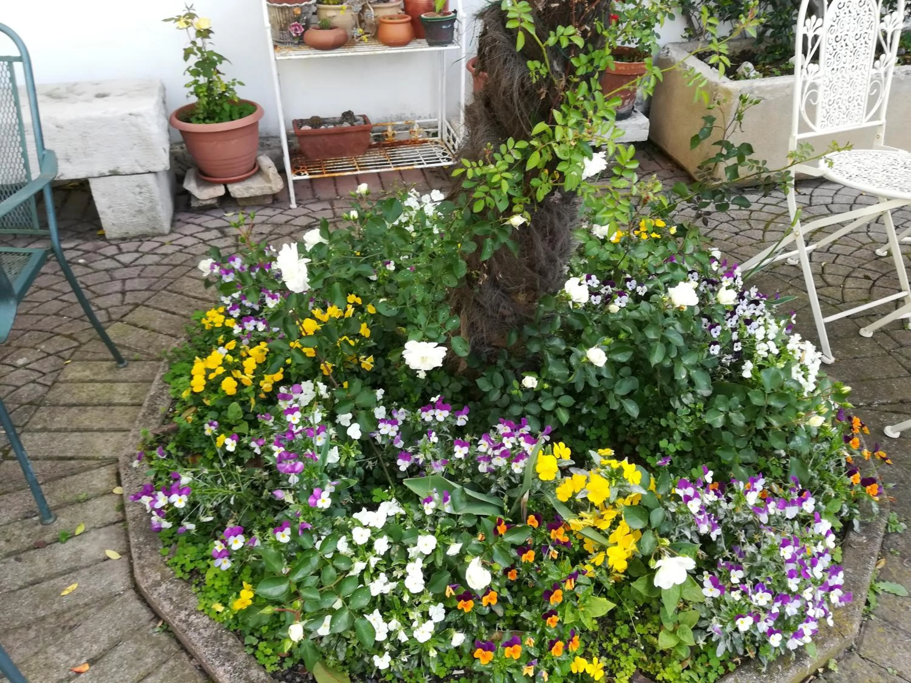 Albergo La Meridiana