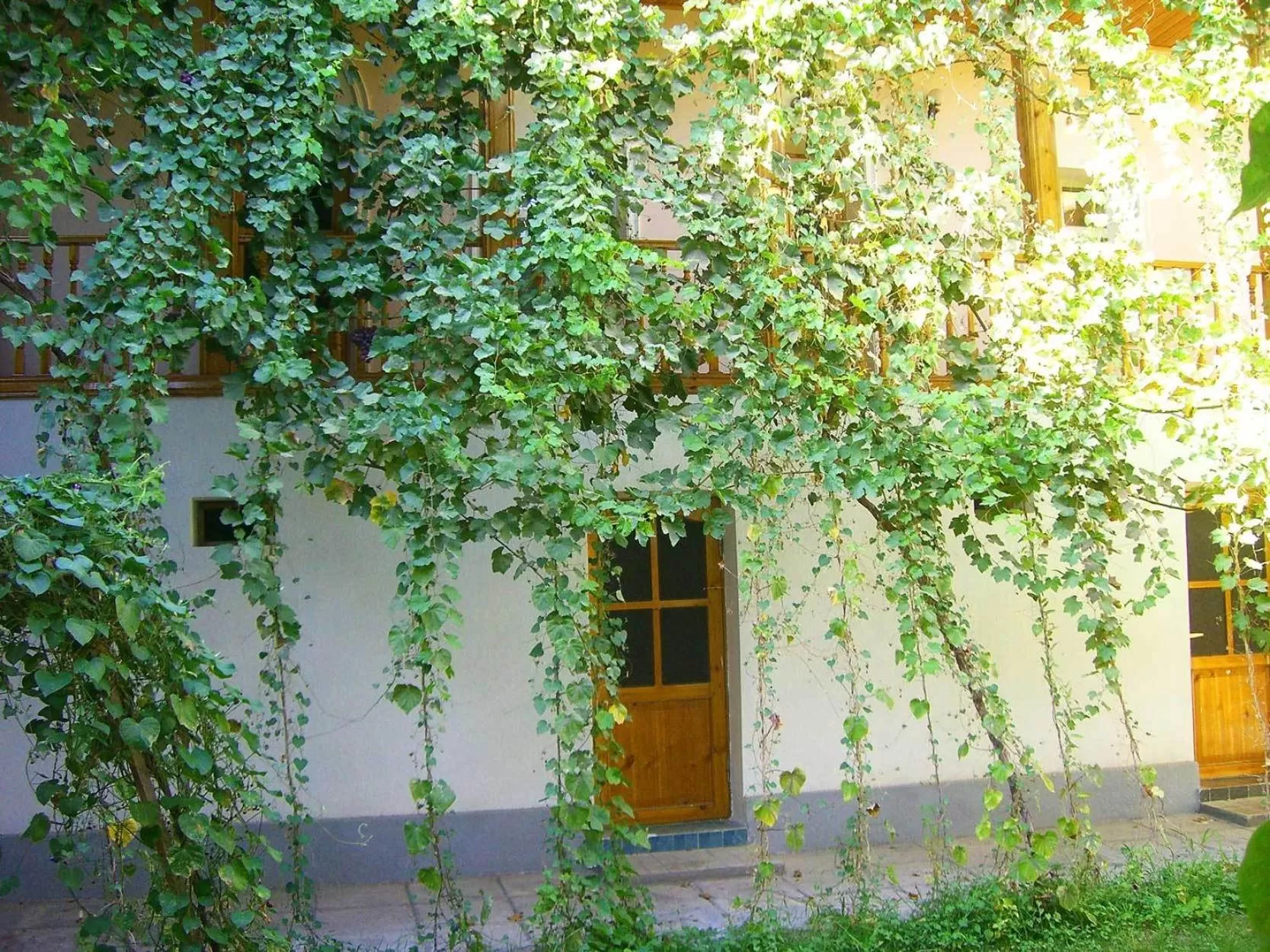 Facade/entrance, Property Building in Jahongir Guest House