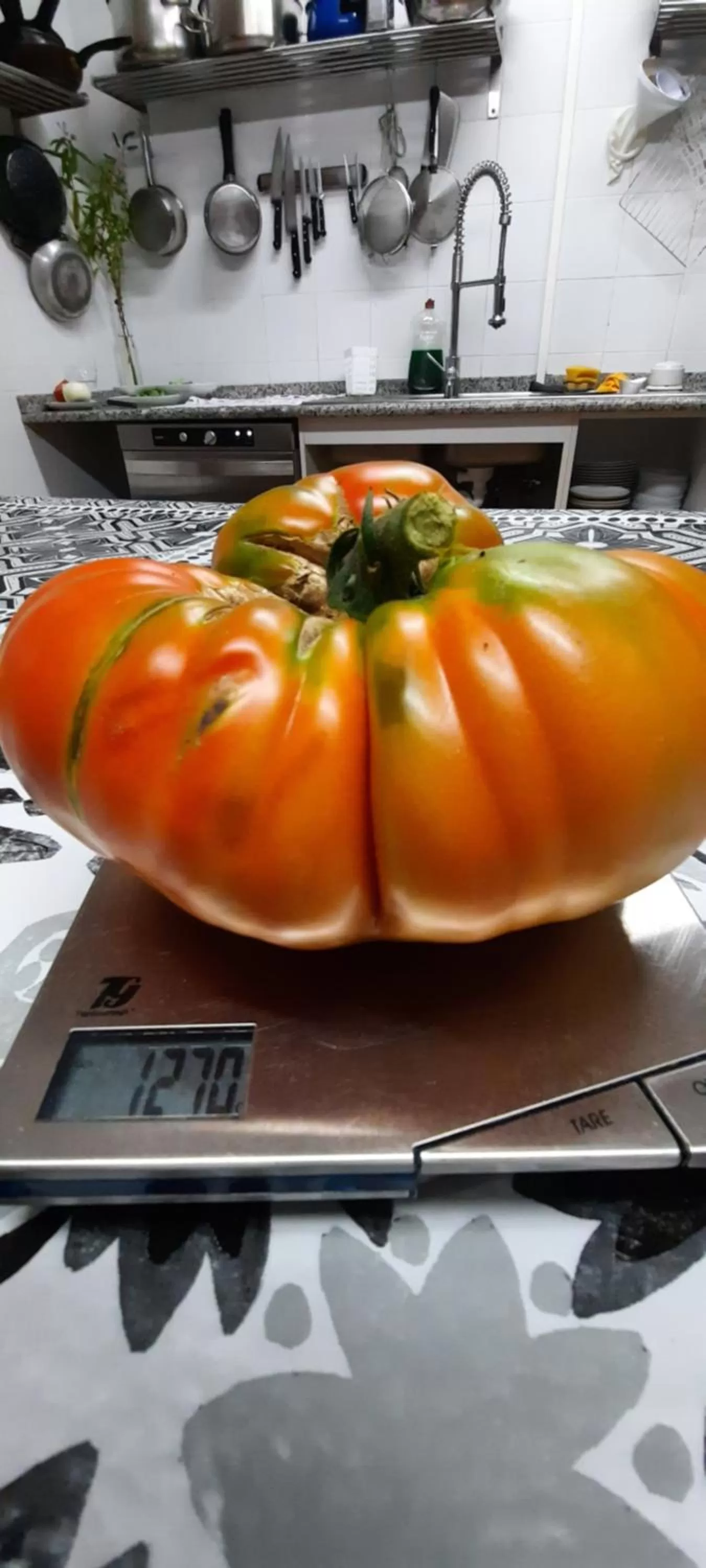 Kitchen or kitchenette in Rectoral de Anllo