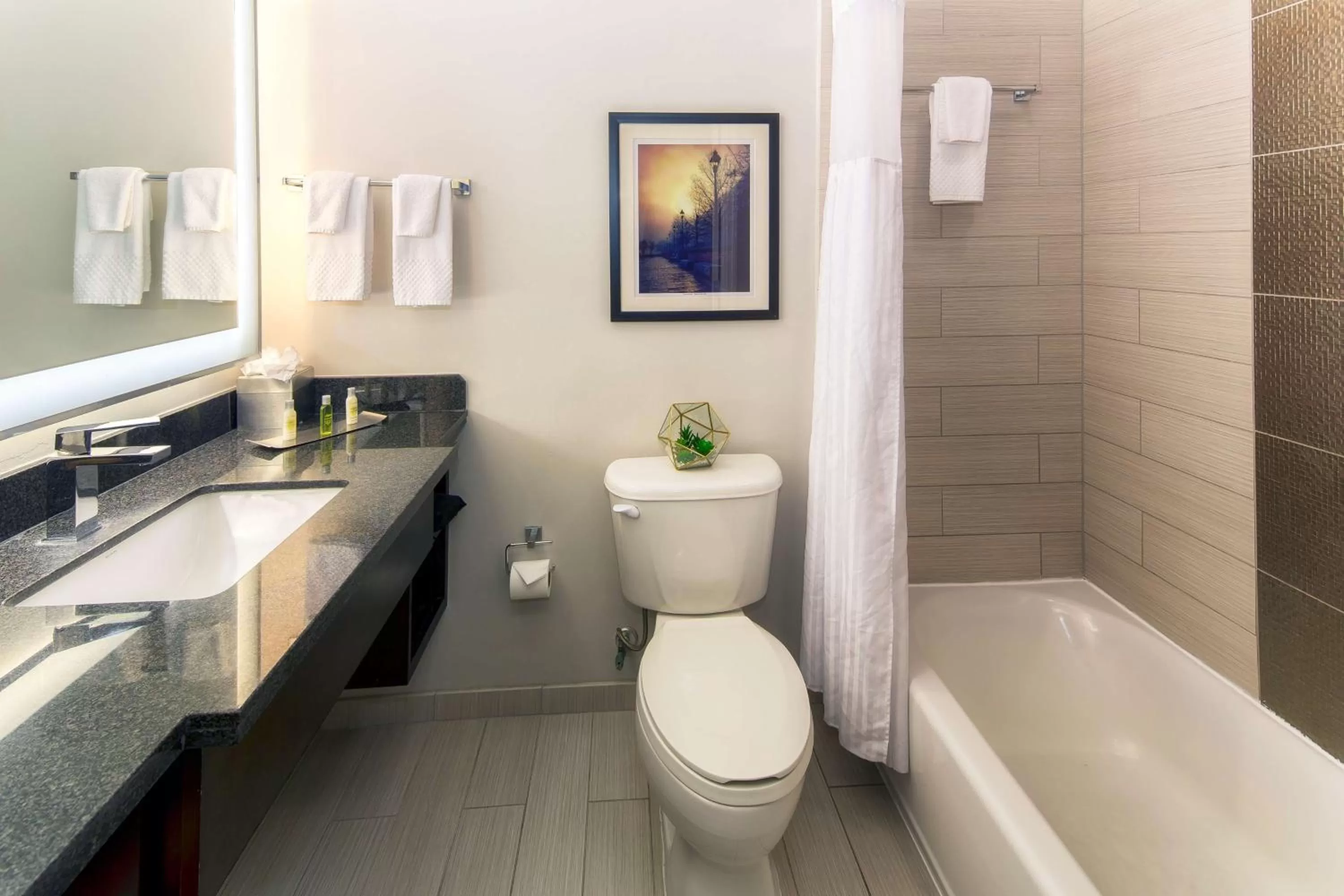 Bathroom in DoubleTree by Hilton Historic Savannah