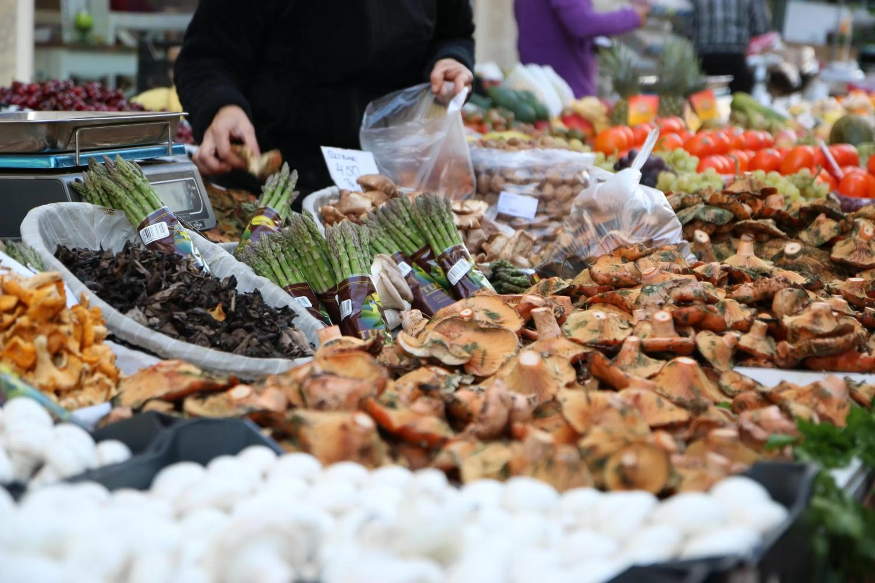 Other in Hotel Abaco Altea