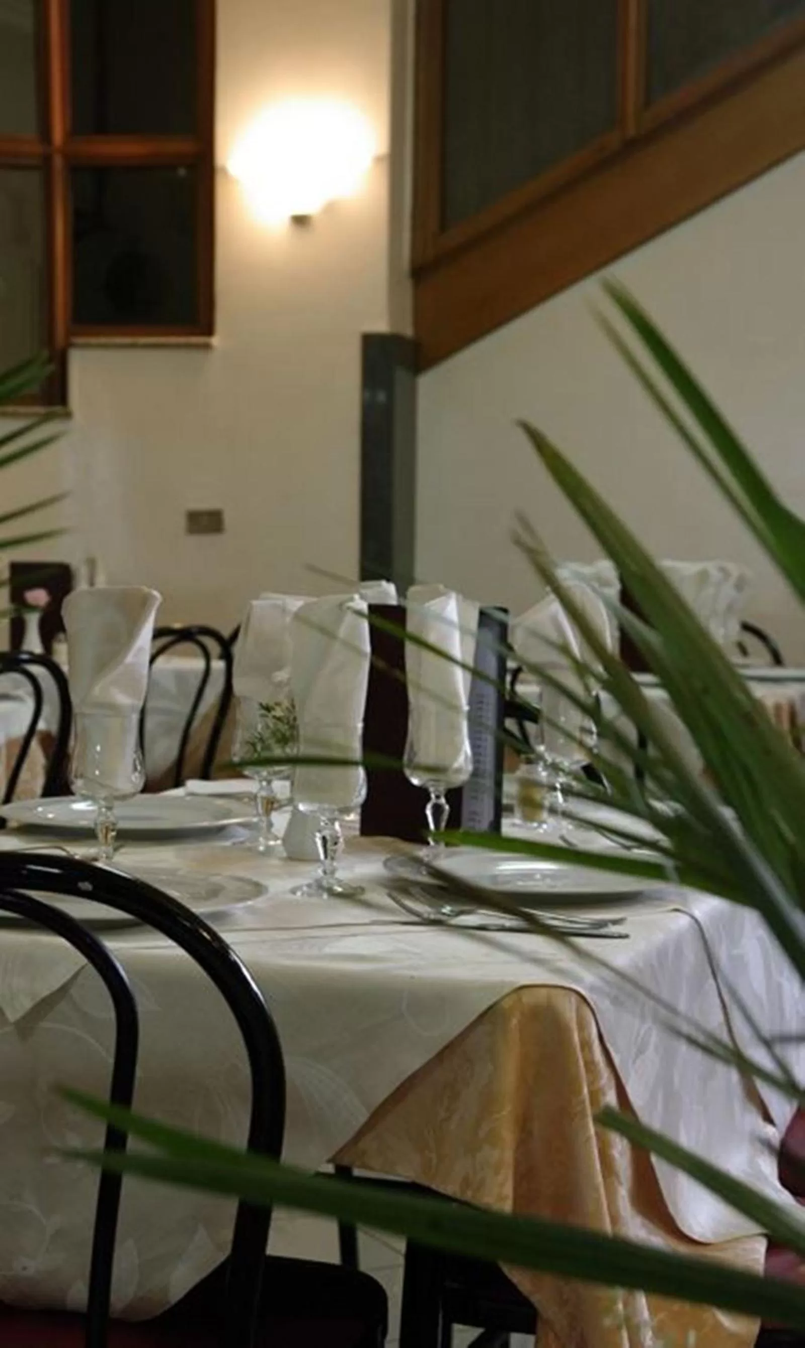 Restaurant/places to eat in Hotel Elio
