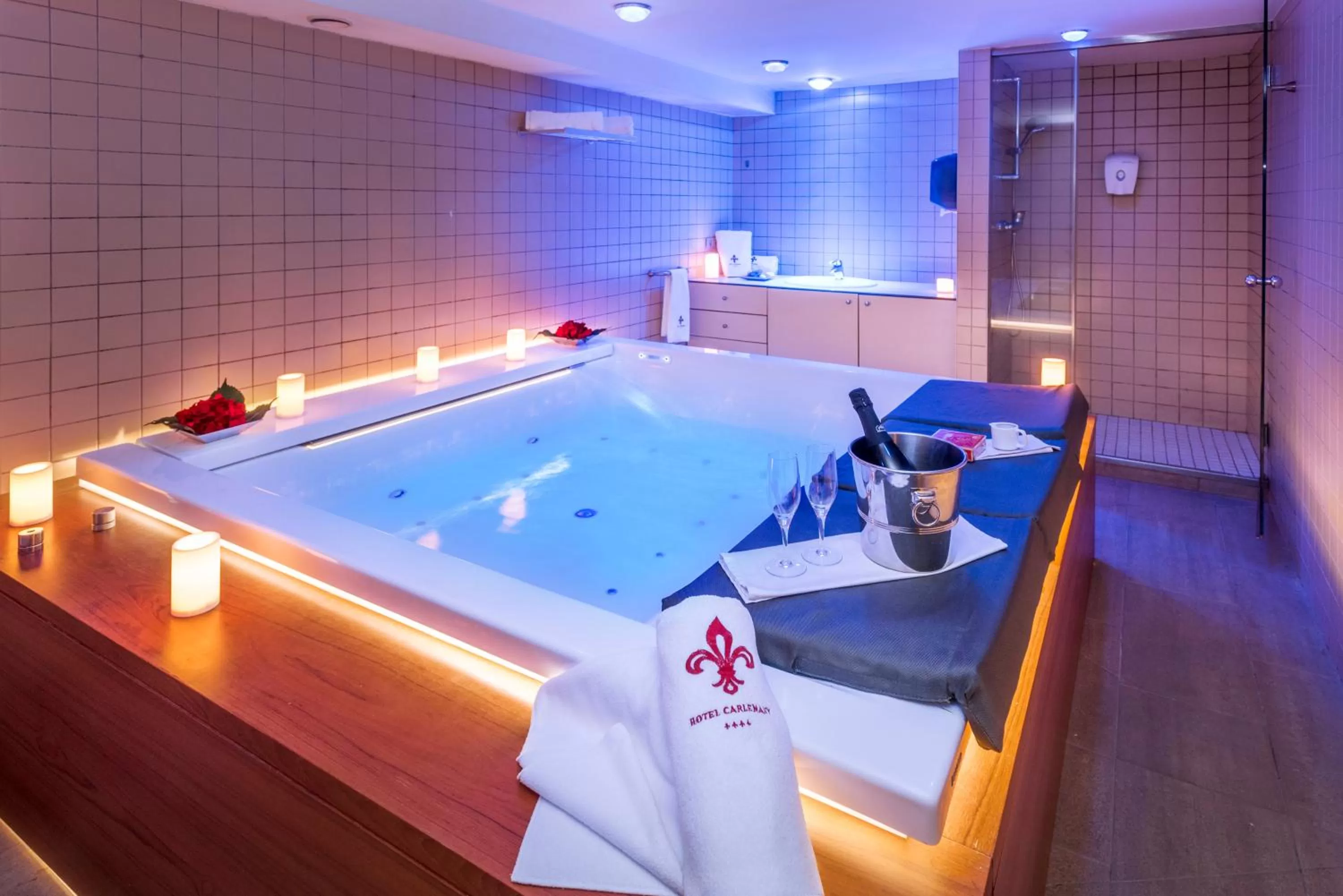 Spa and wellness centre/facilities in Hotel Spa Termes Carlemany
