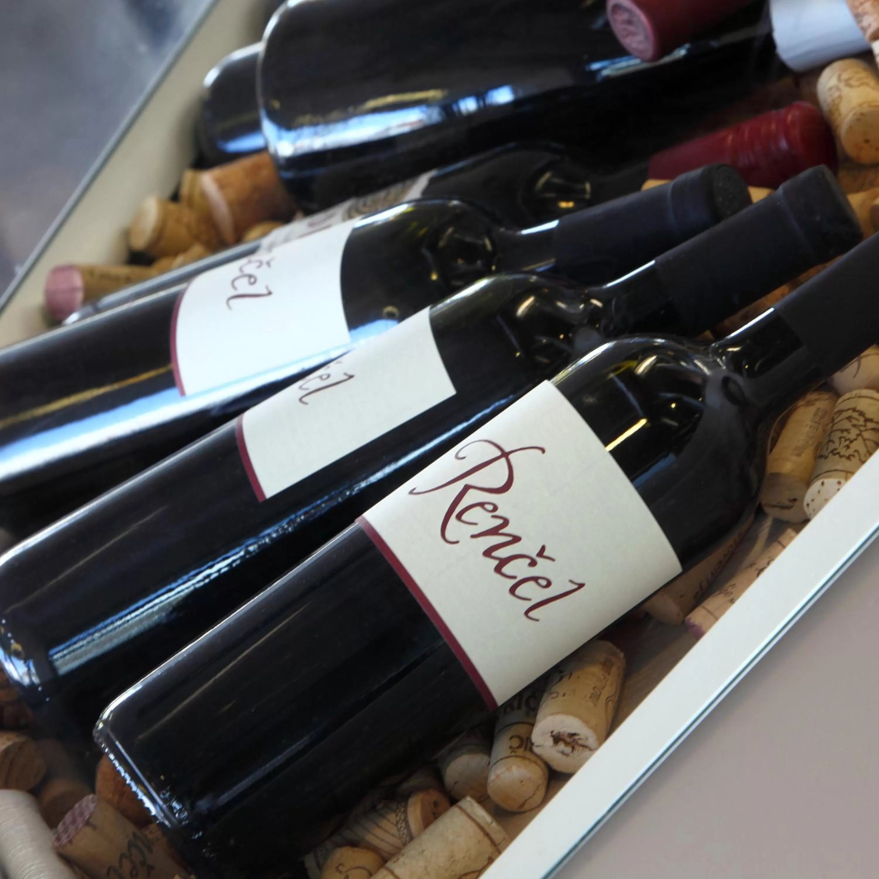 Lounge or bar in Hotel Kras