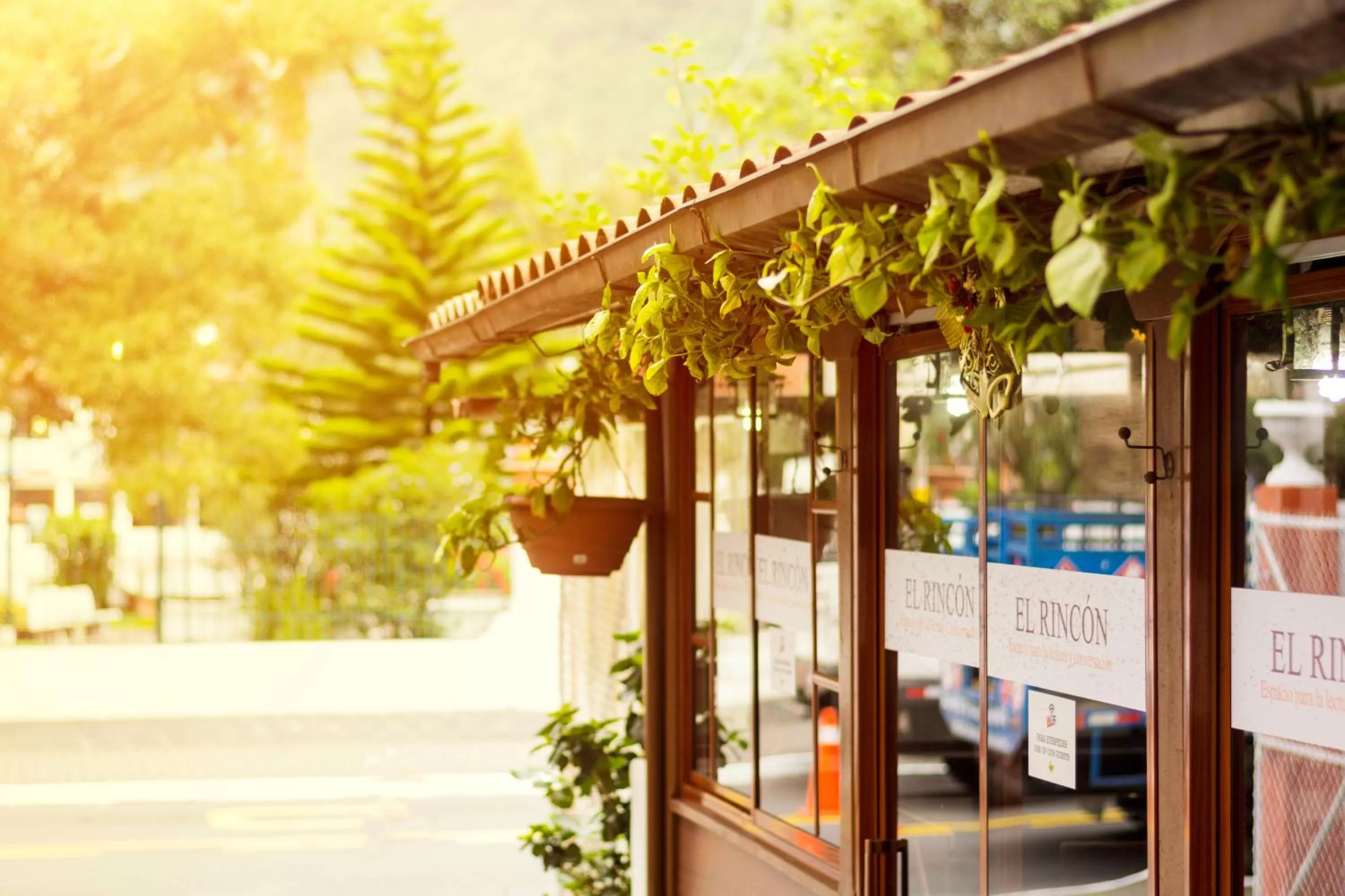 Library, Property Building in Hotel Flor de Oriente