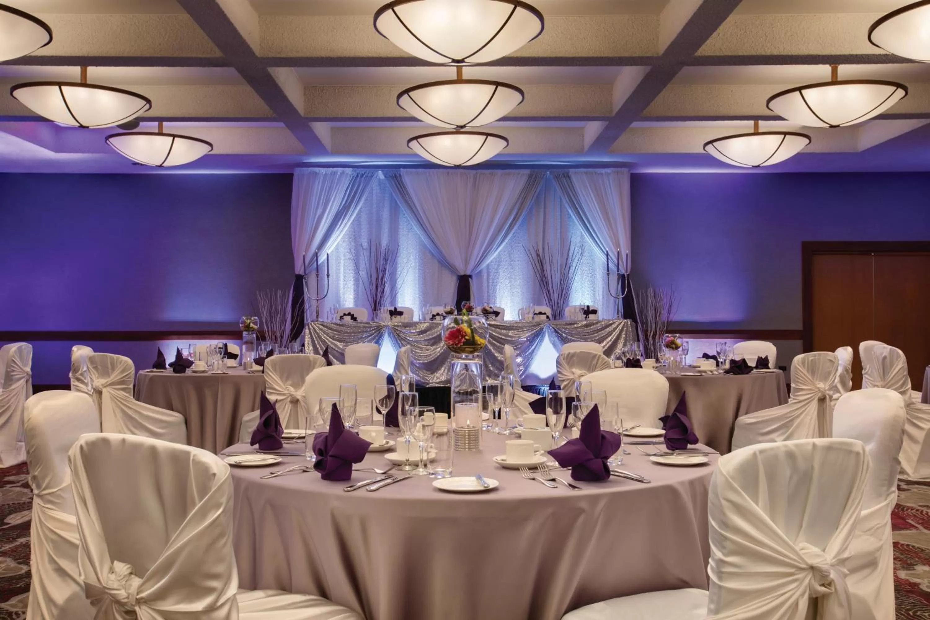 Banquet/Function facilities in Coast Edmonton Plaza Hotel by APA