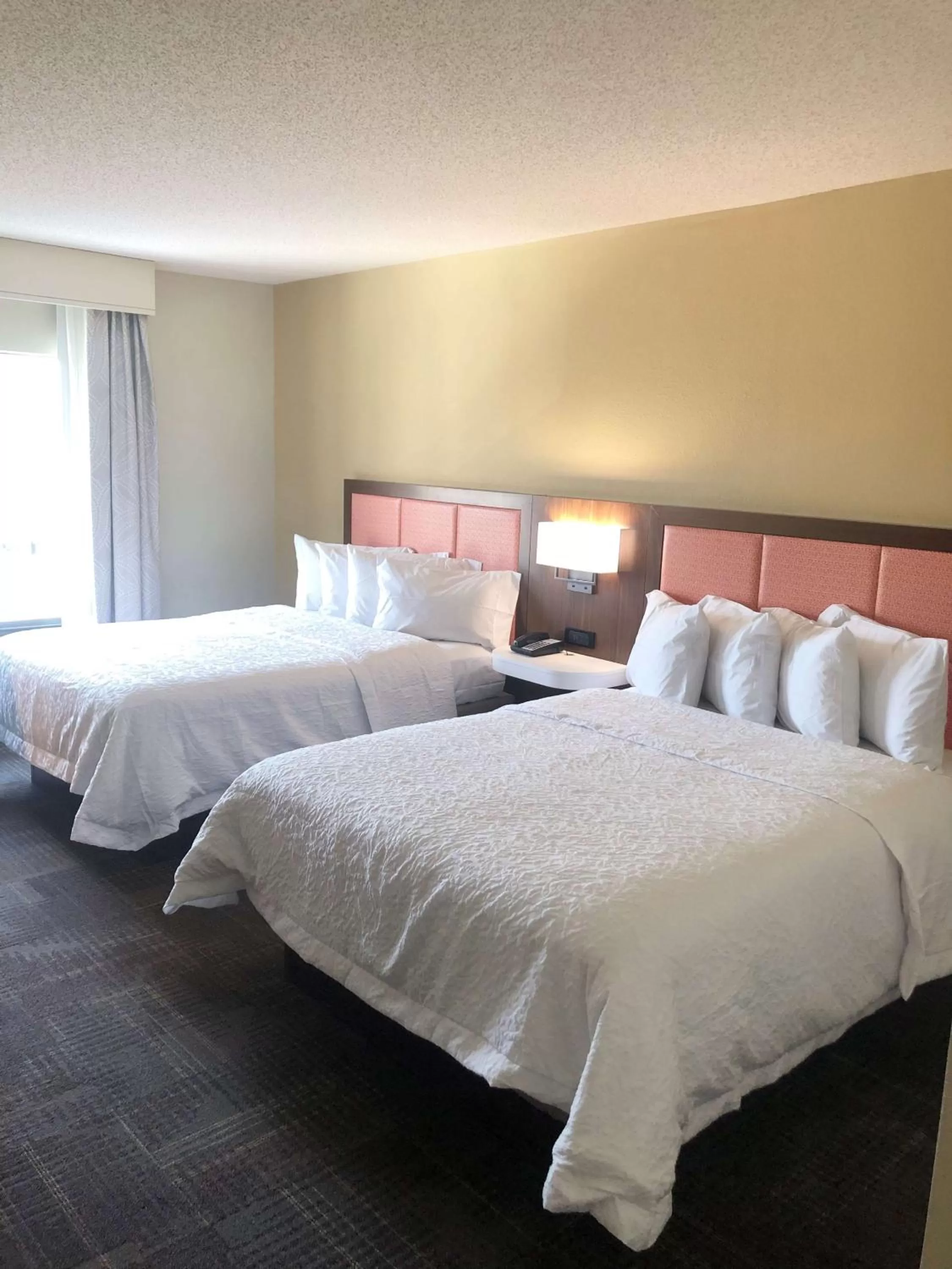 Photo of the whole room, Bed in Hampton Inn & Suites Norfolk-Airport