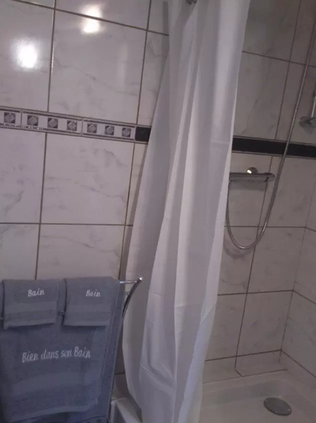Shower in Chambre d'Hôtes des Lys