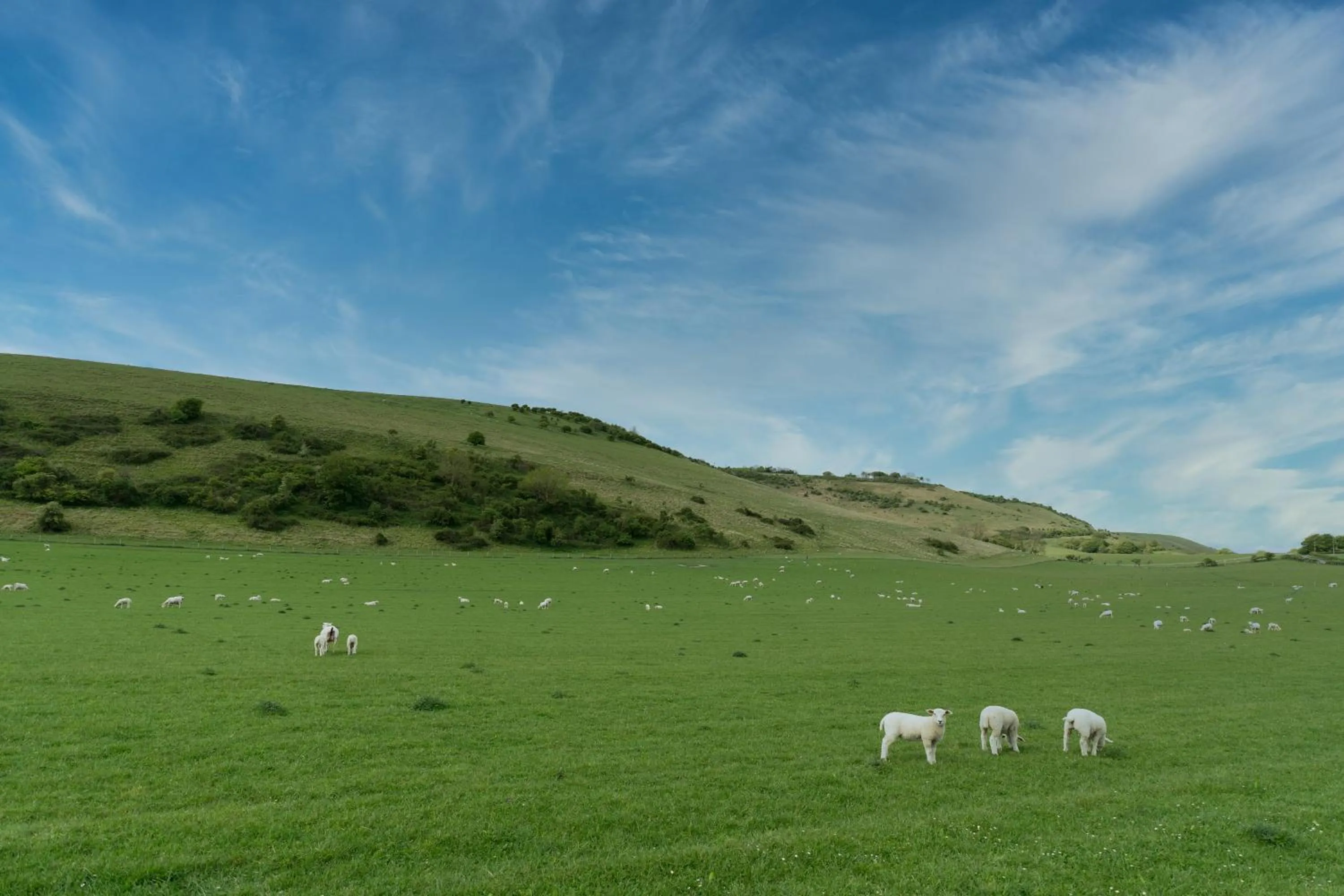 View (from property/room) in Tottington Manor Hotel