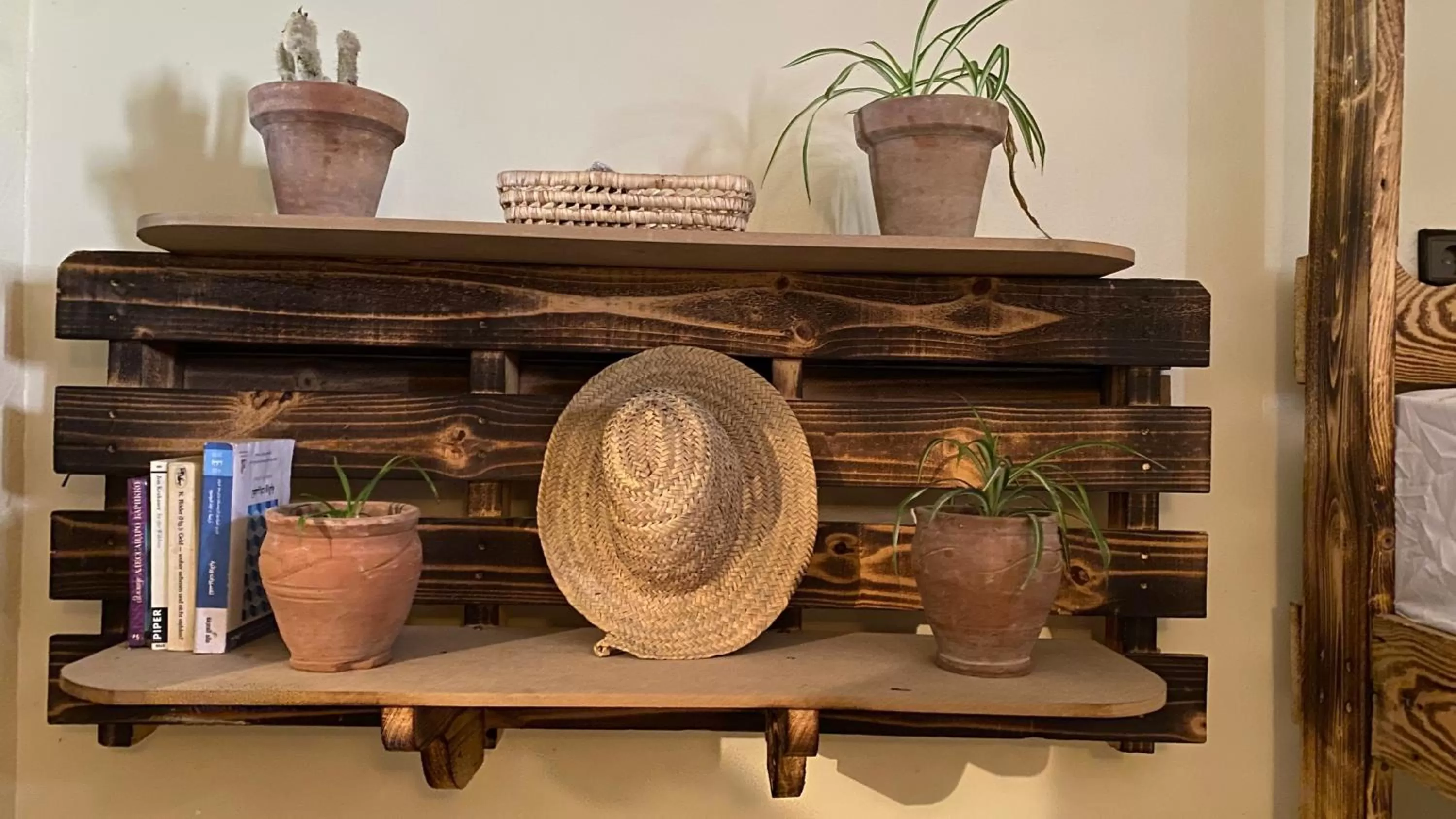 bunk bed in Anza surfhouse