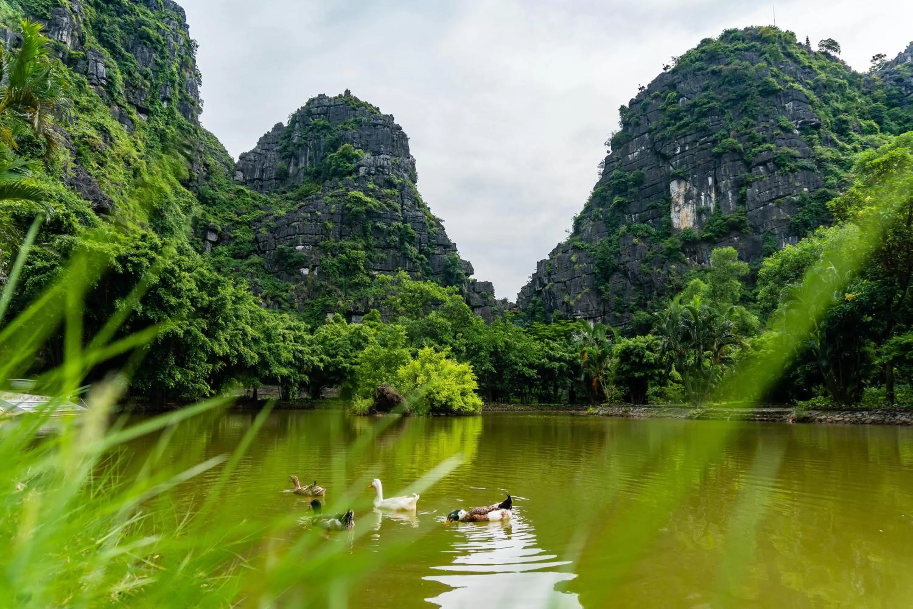 Mua Caves Ecolodge (Hang Mua)