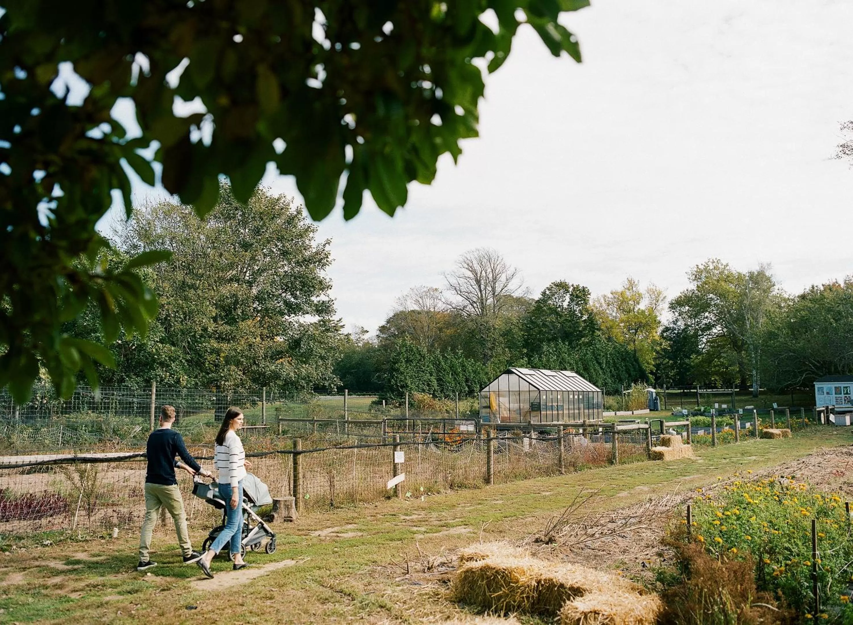 Activities in The Roundtree, Amagansett
