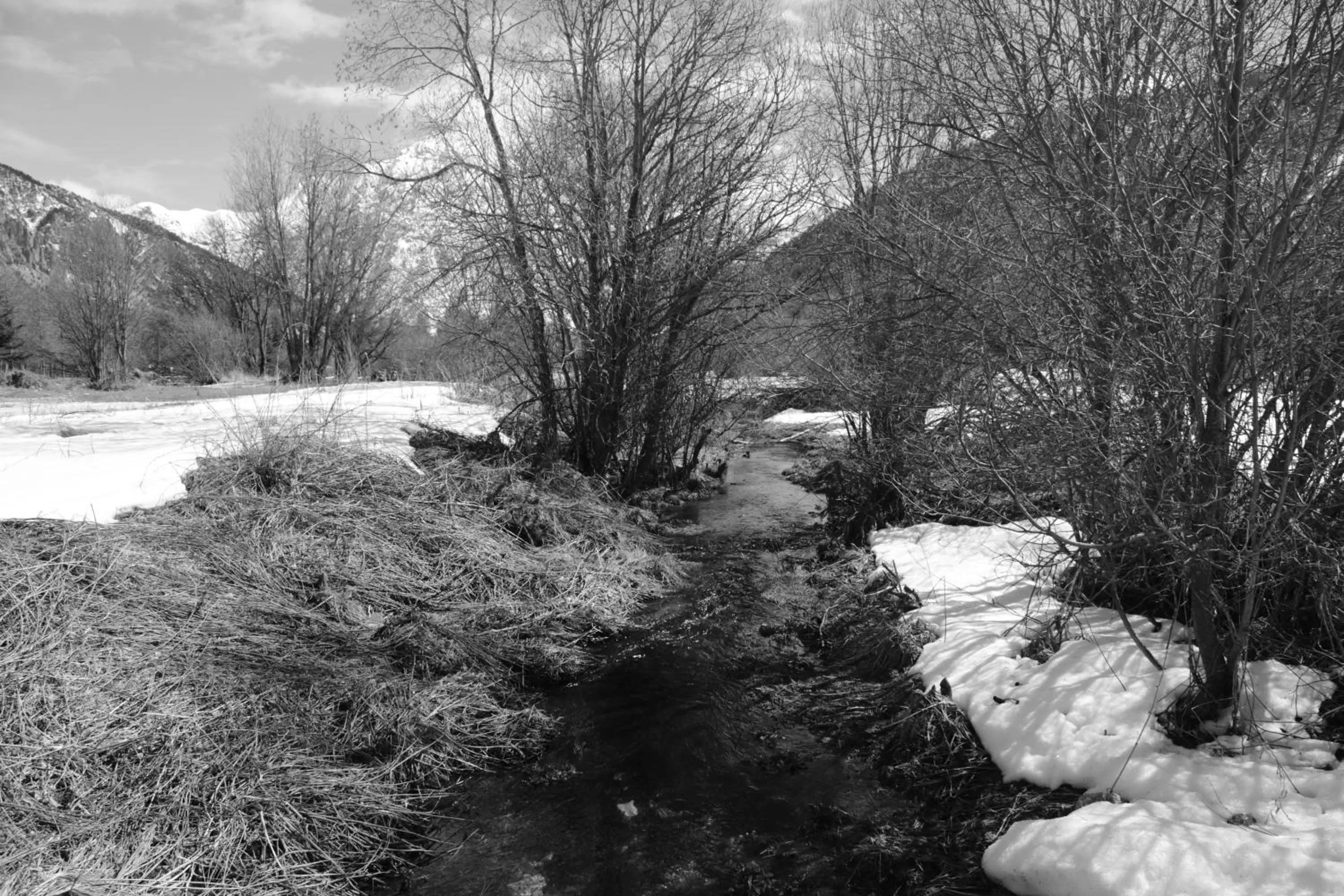Area and facilities in Auberge de la Paix