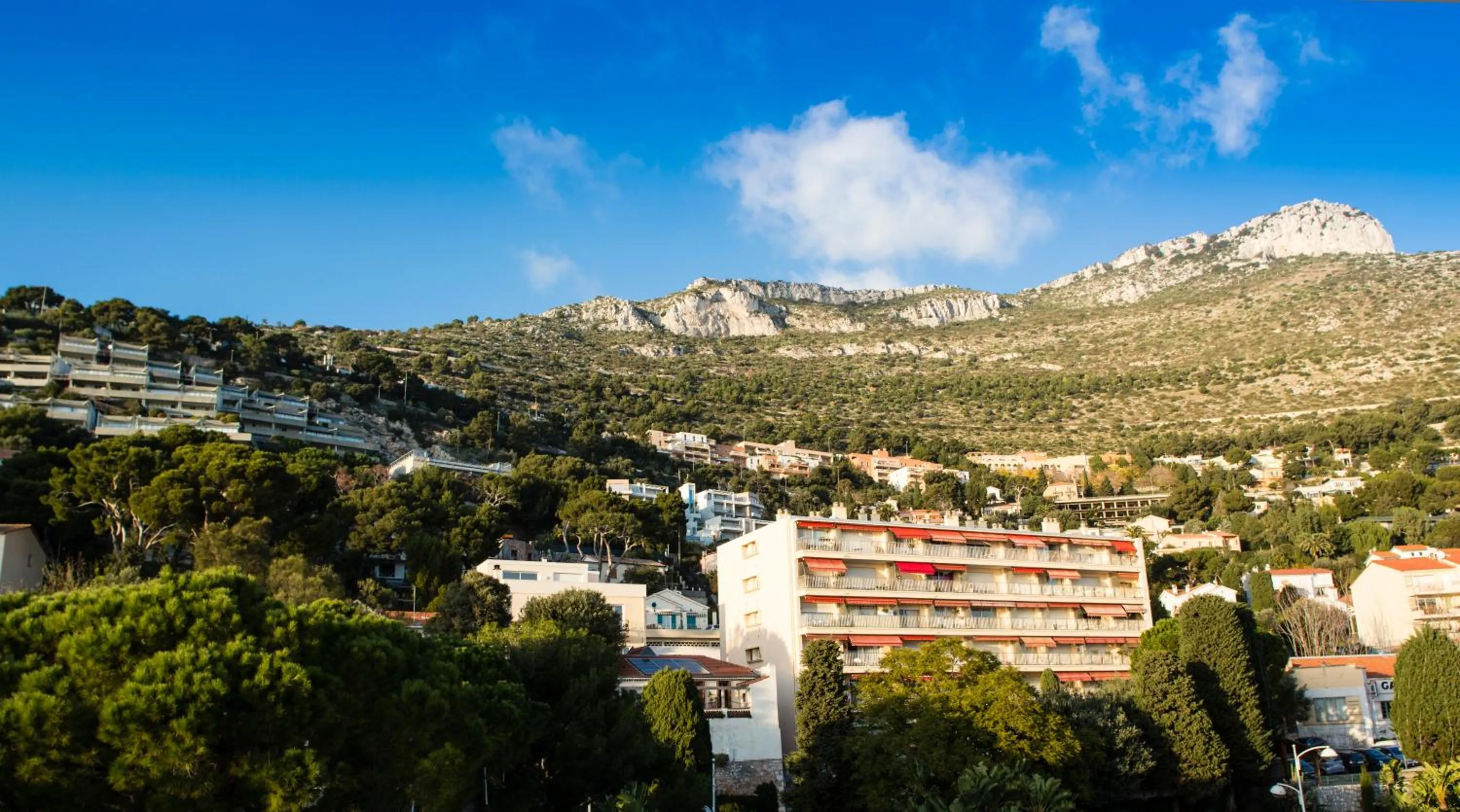 Natural landscape in Hotel Miramar
