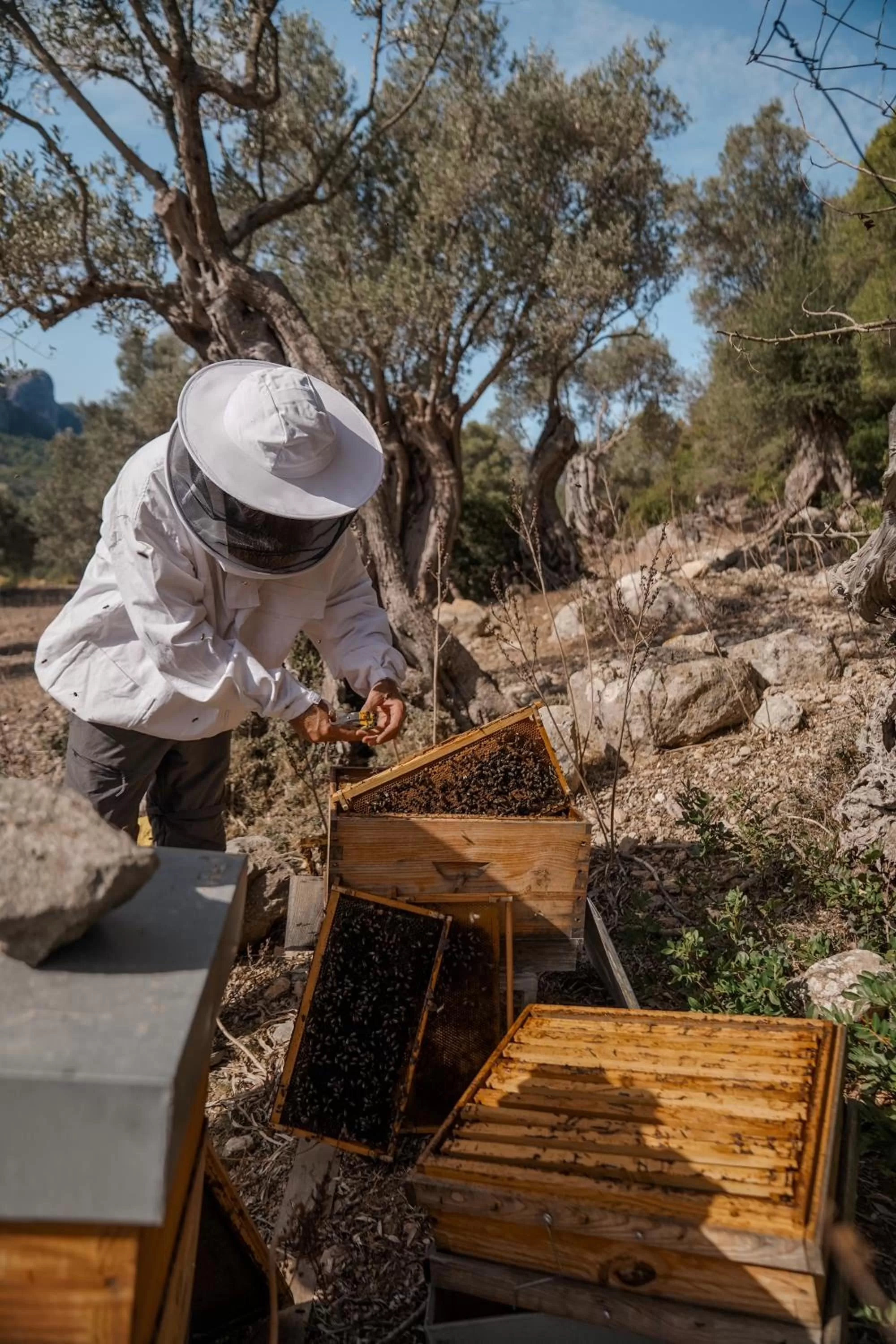 Activities in Son Brull Hotel & Spa - Relais & Chateaux