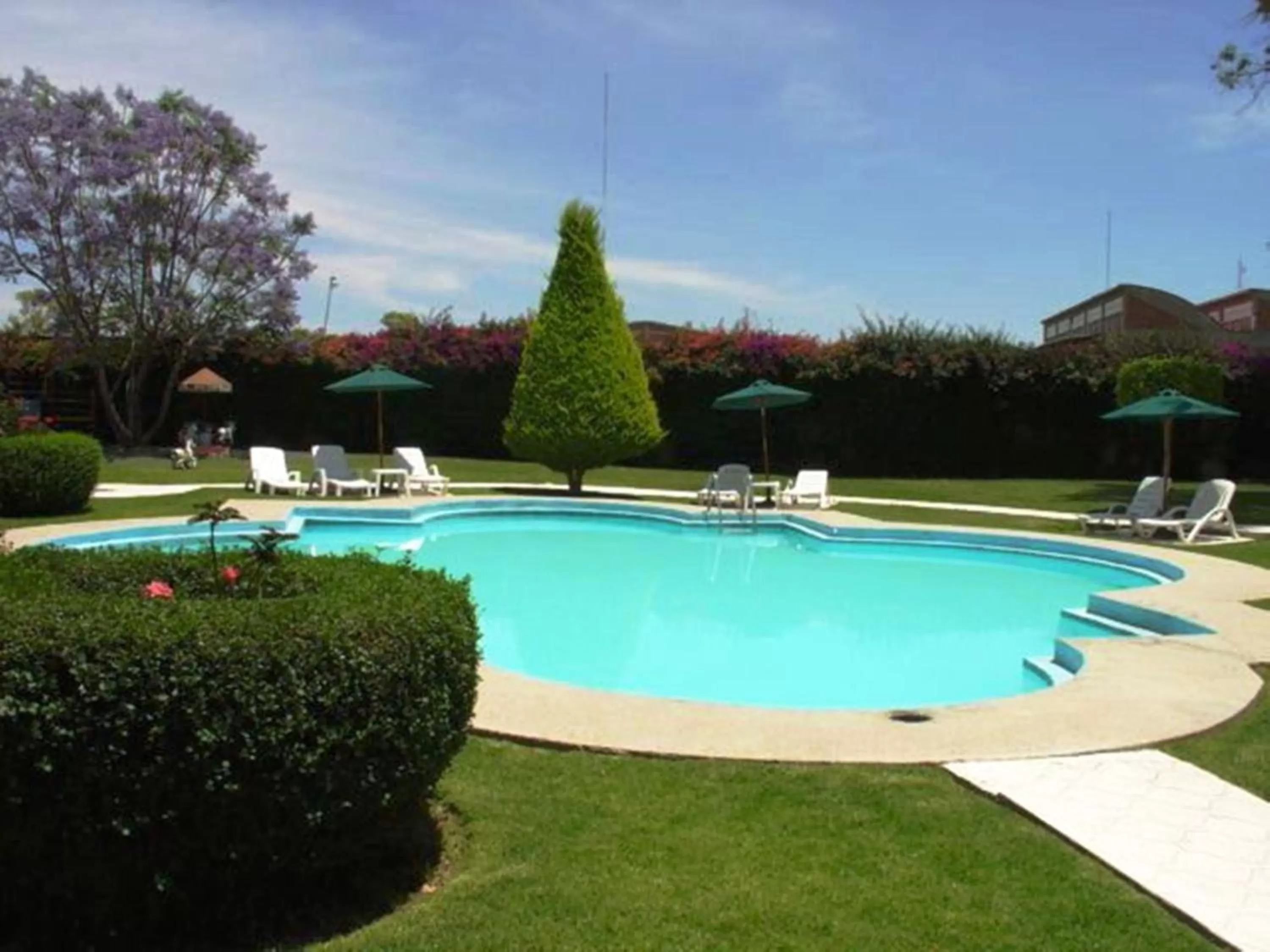 Swimming pool in Hotel San Francisco Leon