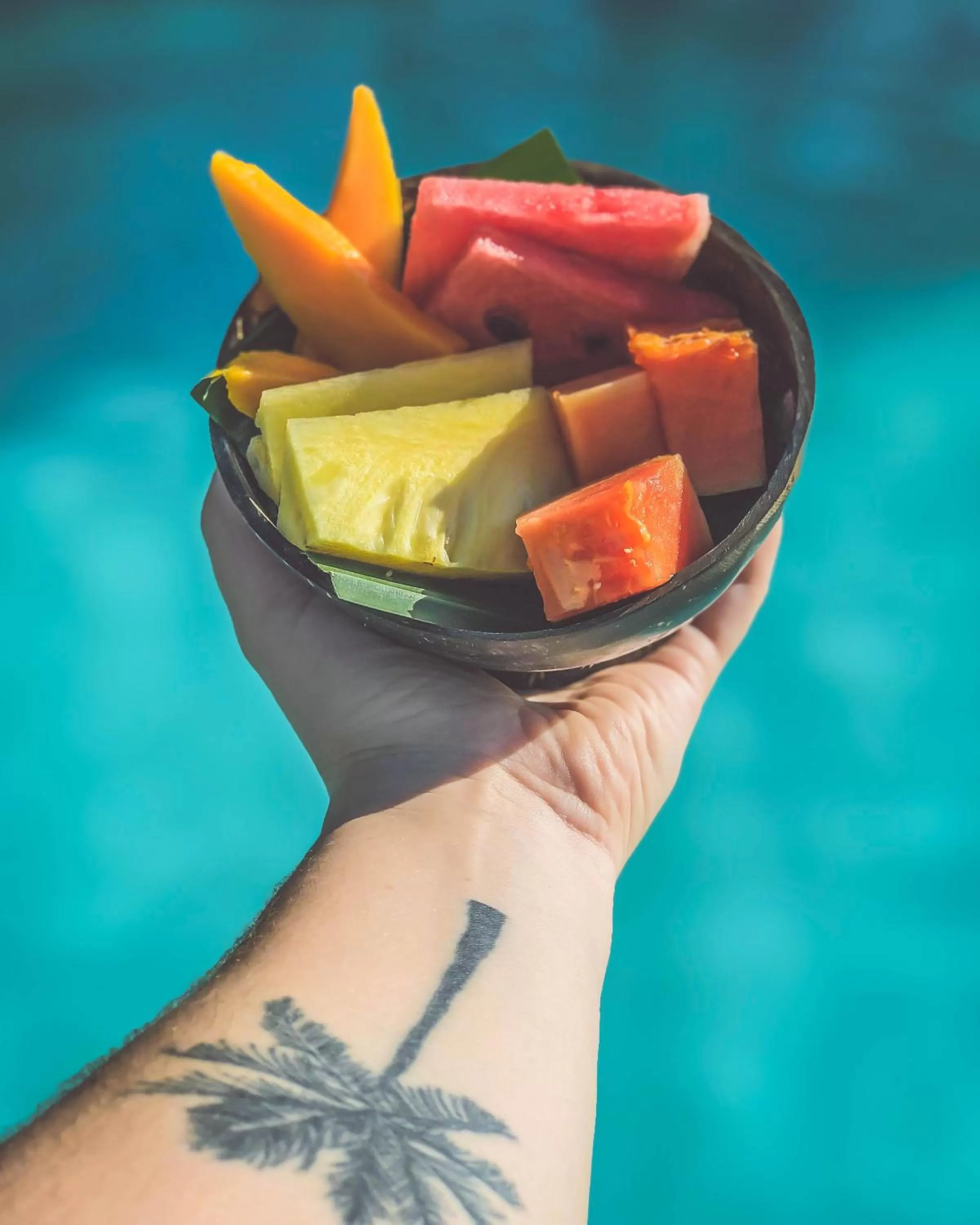 Sigiriya Kingdom Gate Dambulla