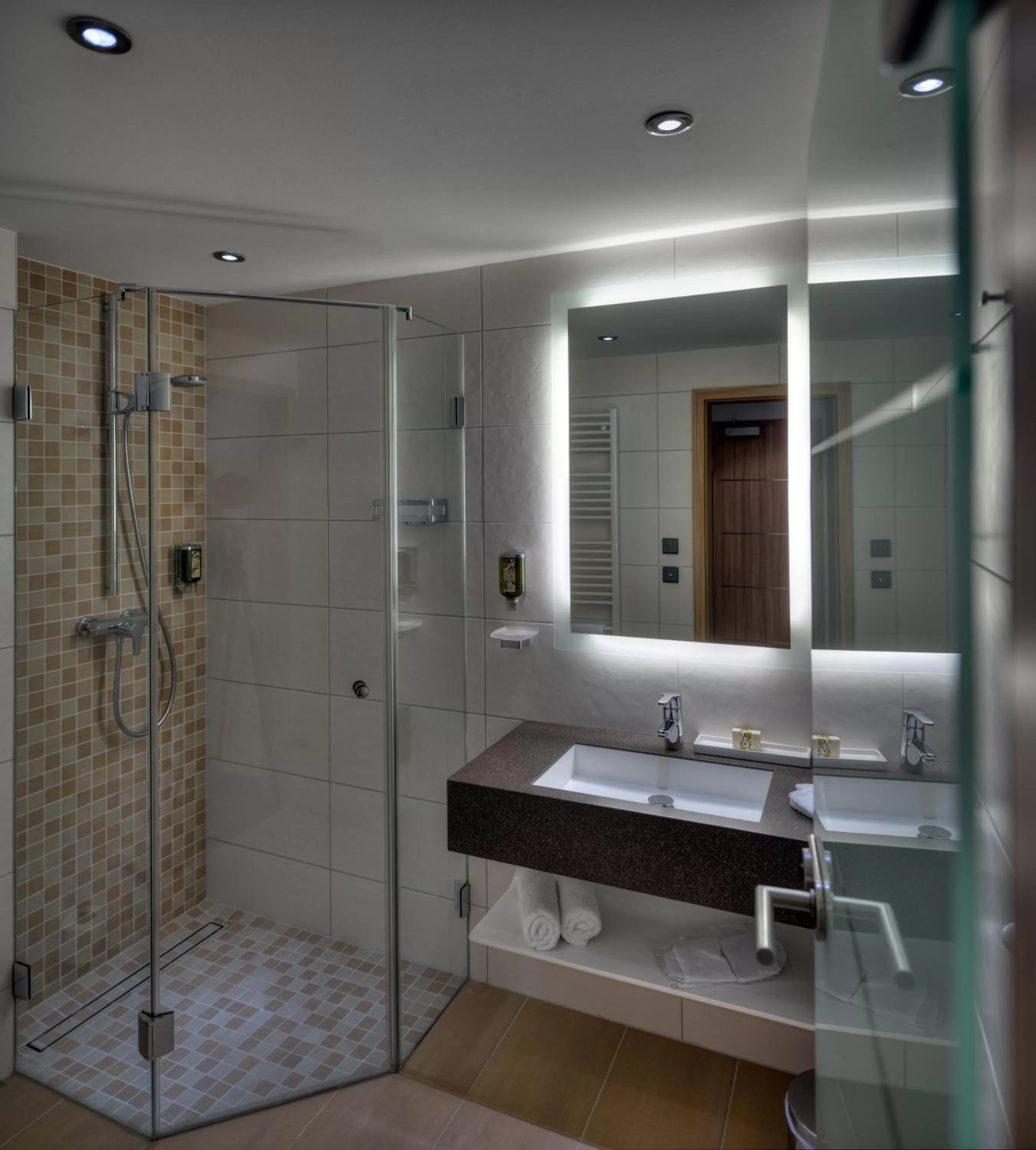 Shower in ARTHOTEL Kiebitzberg