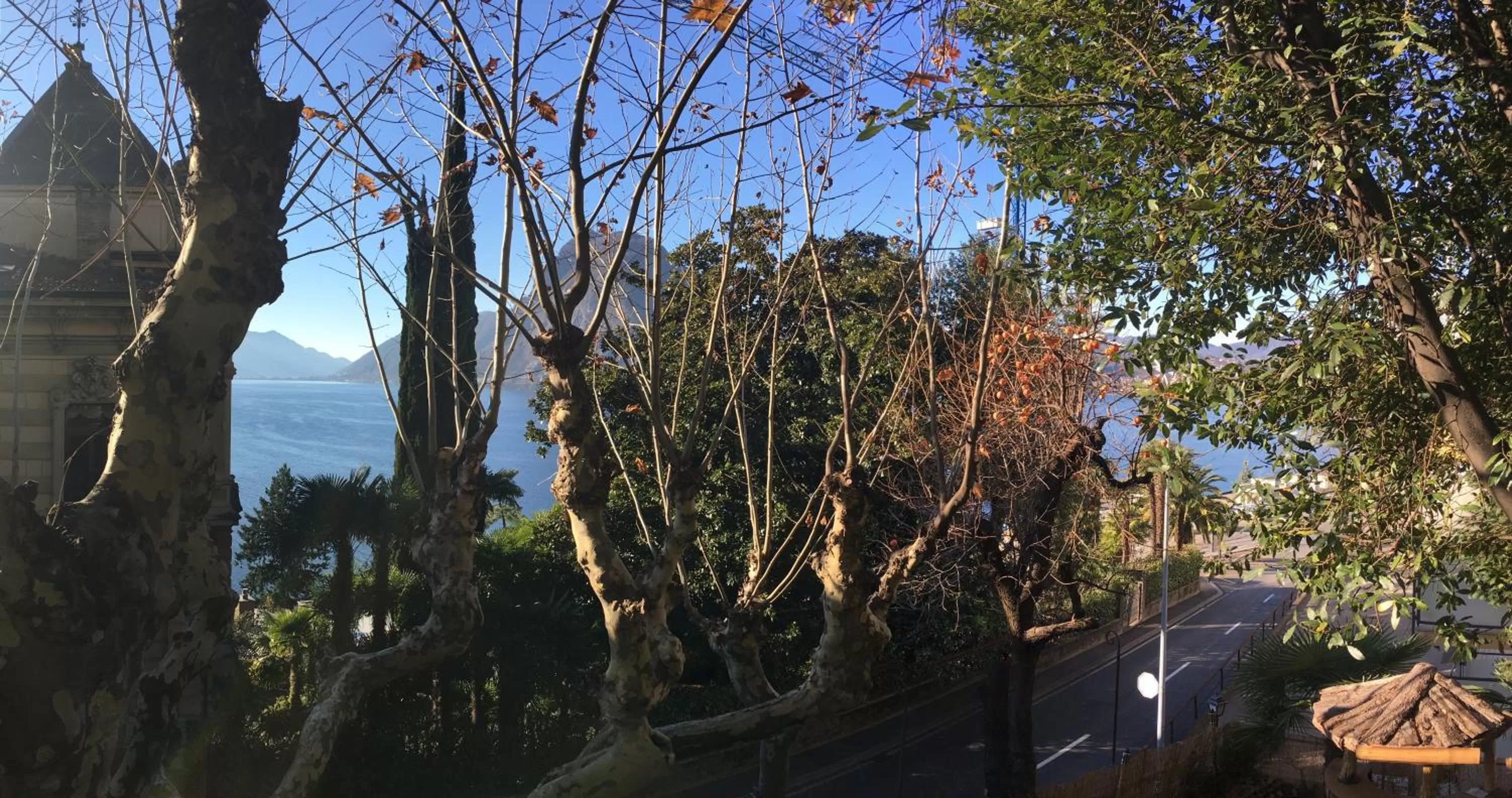 View (from property/room) in Hotel Firenze Lugano