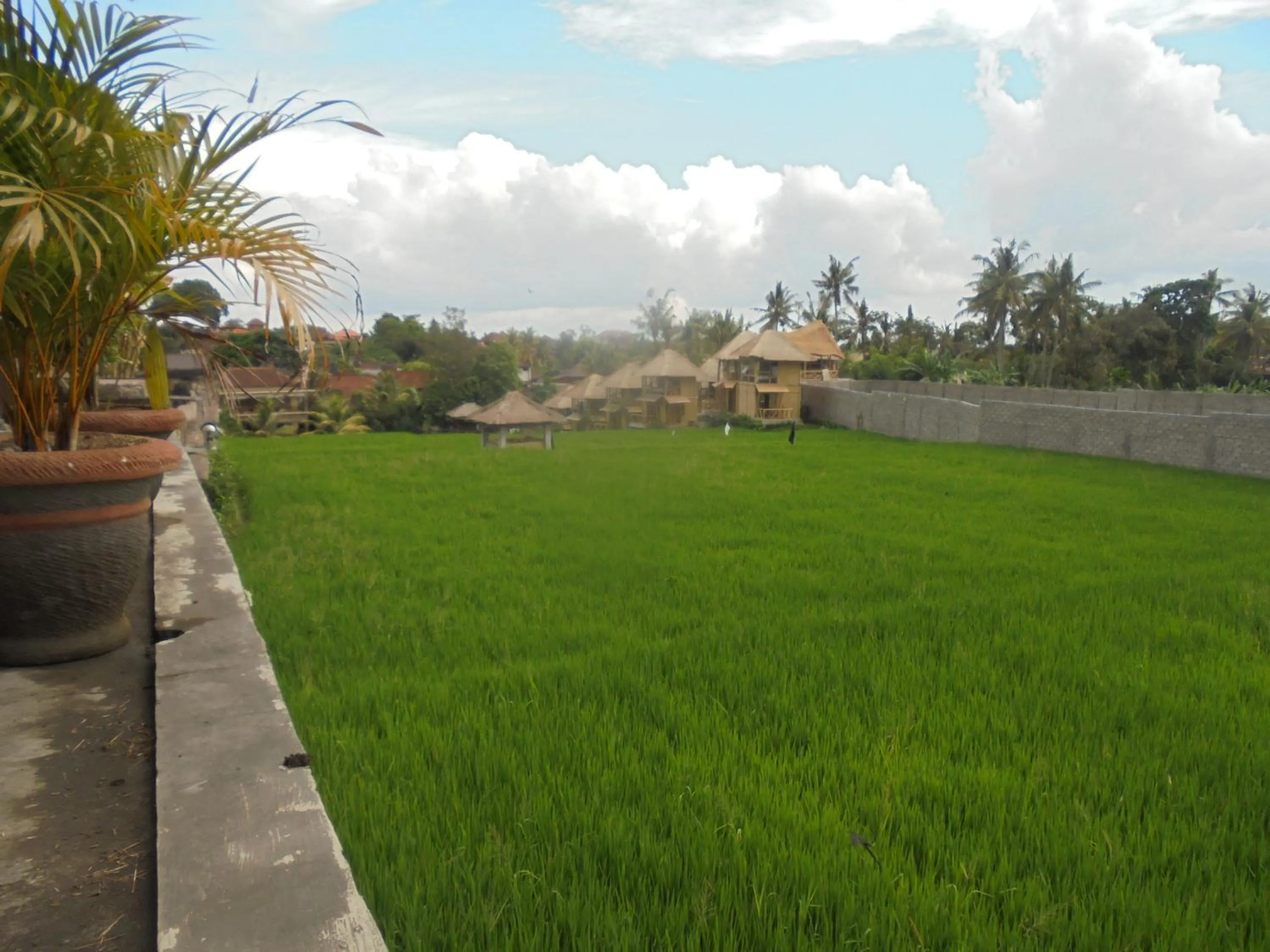 Natural landscape in Biyukukung Suite & Spa