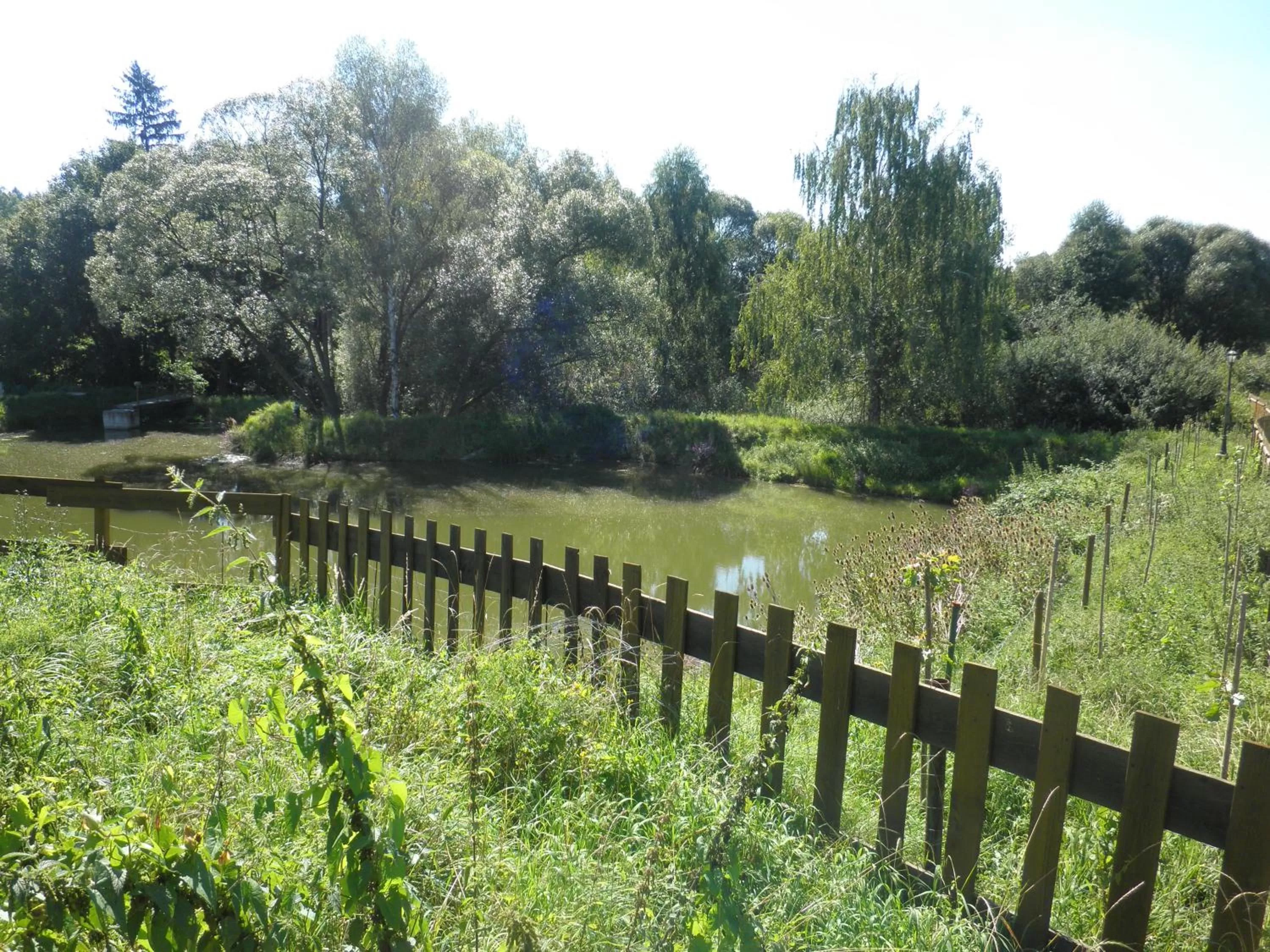 Fishing in Sport-hotel Šibeniční vrch