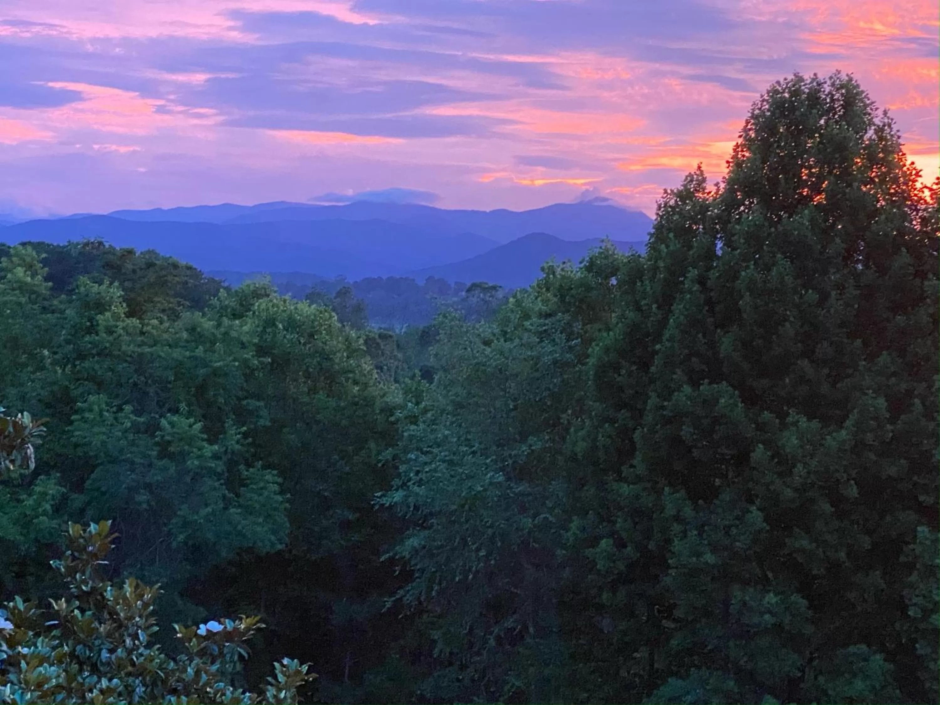 Restaurant/places to eat in SKYLARANNA Resort & SPA