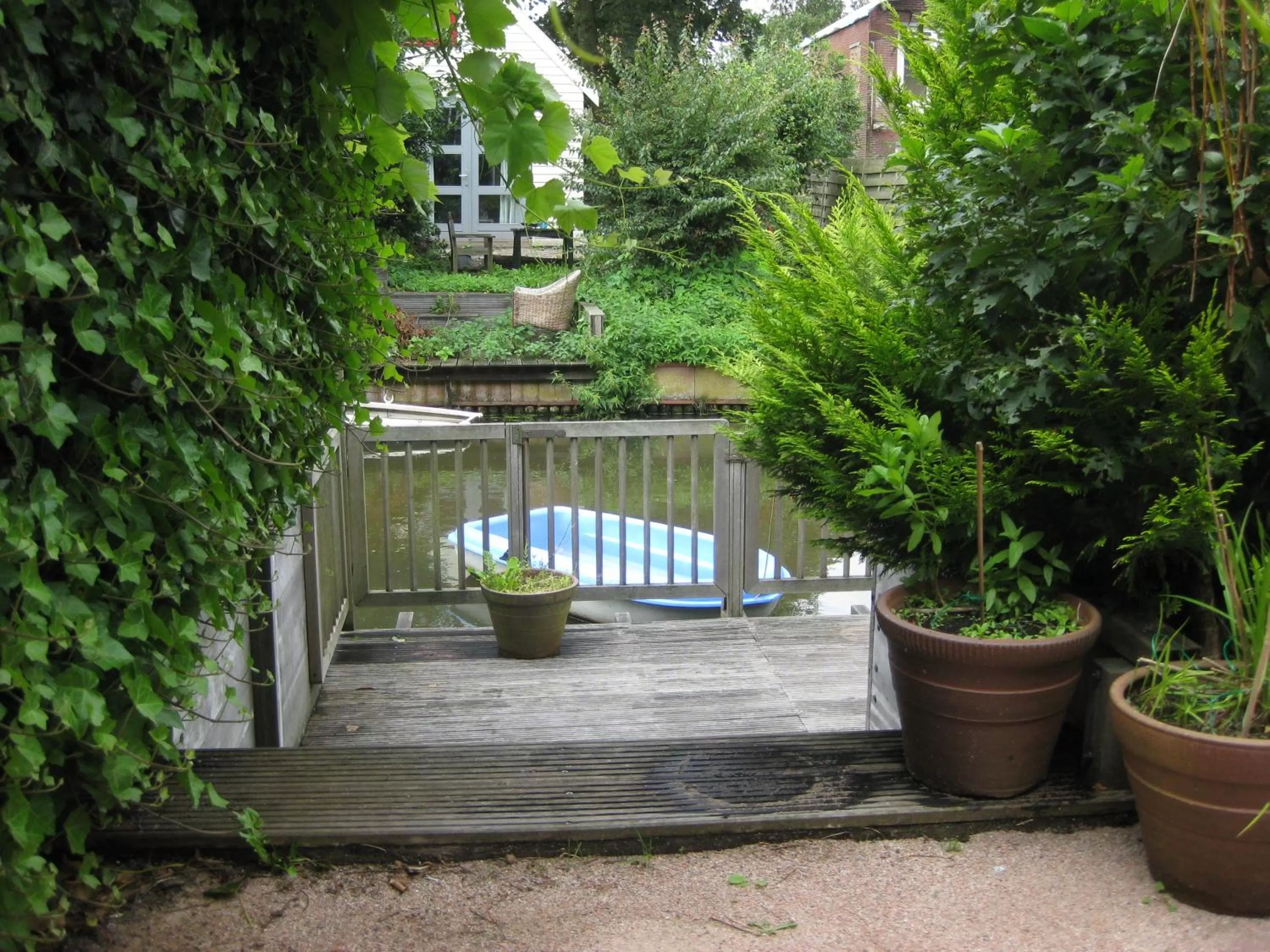 Garden in Quarenta Studio