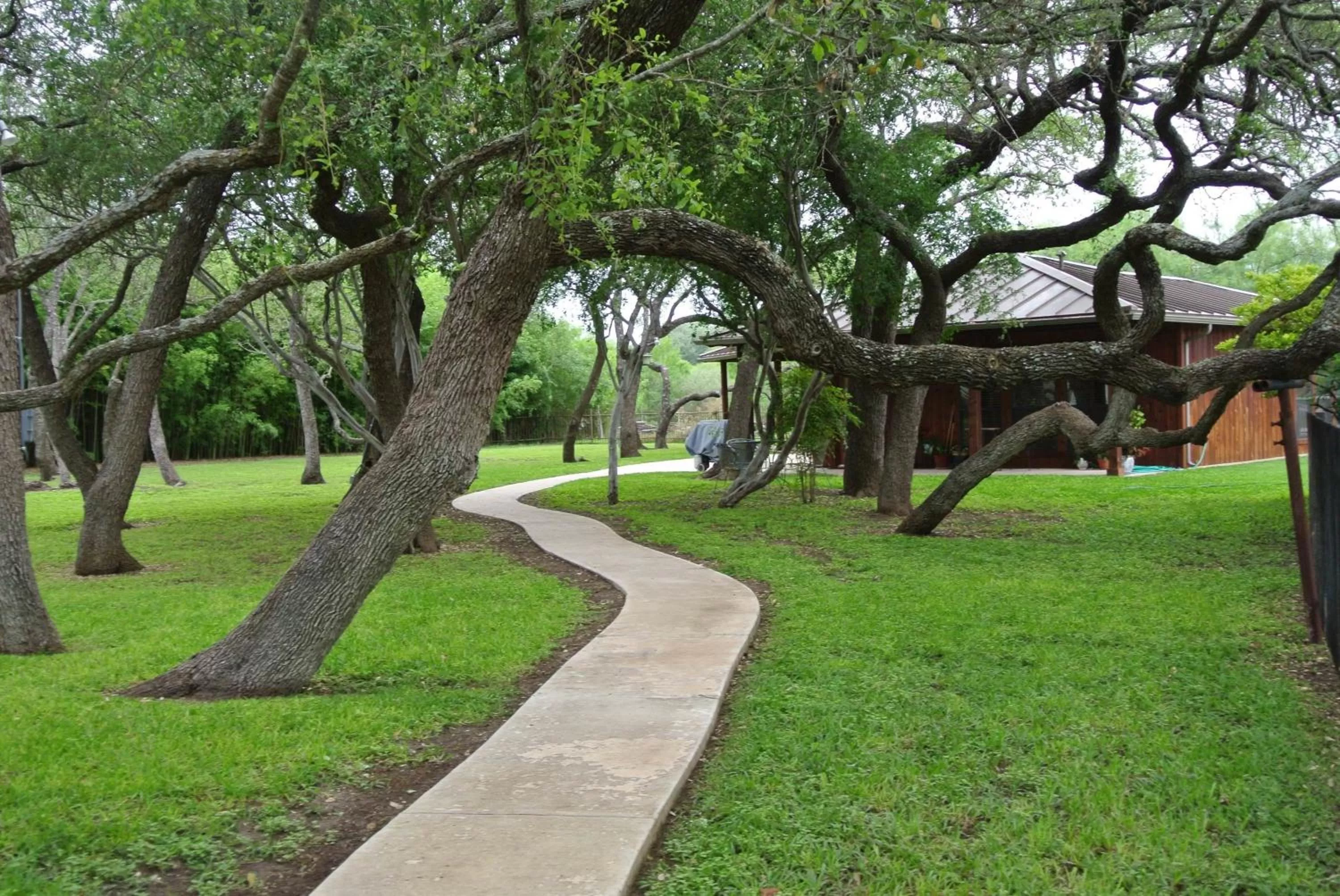 Property building in Live Oaks Bed and Breakfast