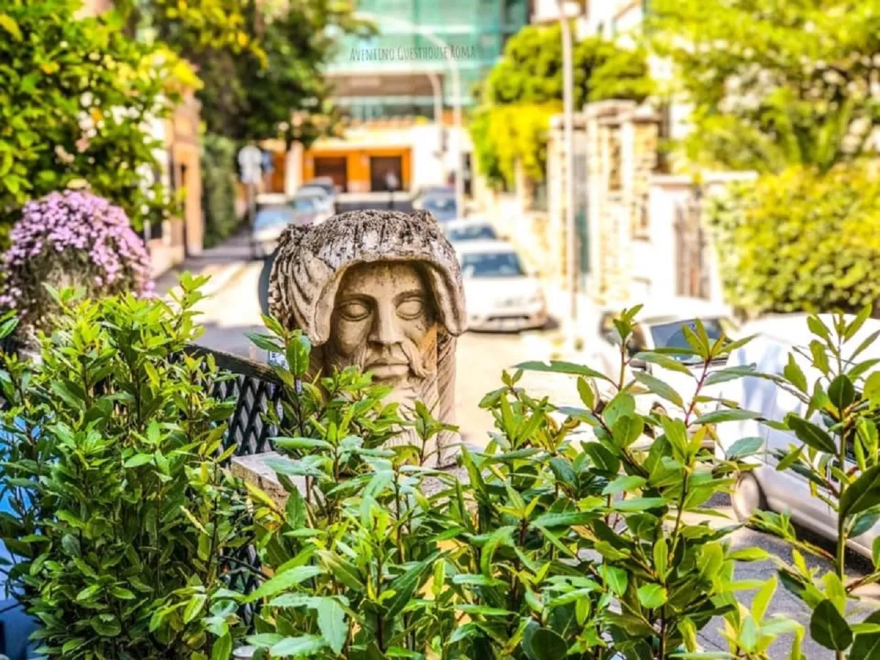 Garden view in Aventino Guest House