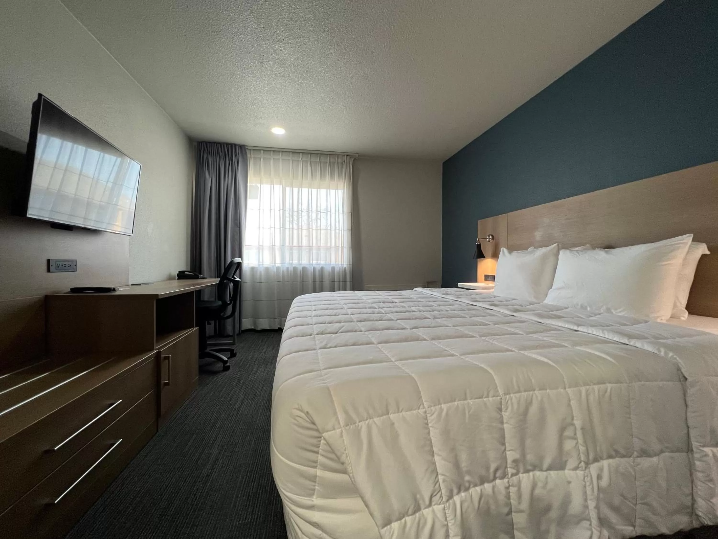 TV and multimedia, Bed in Quality Inn Portland Airport PDX