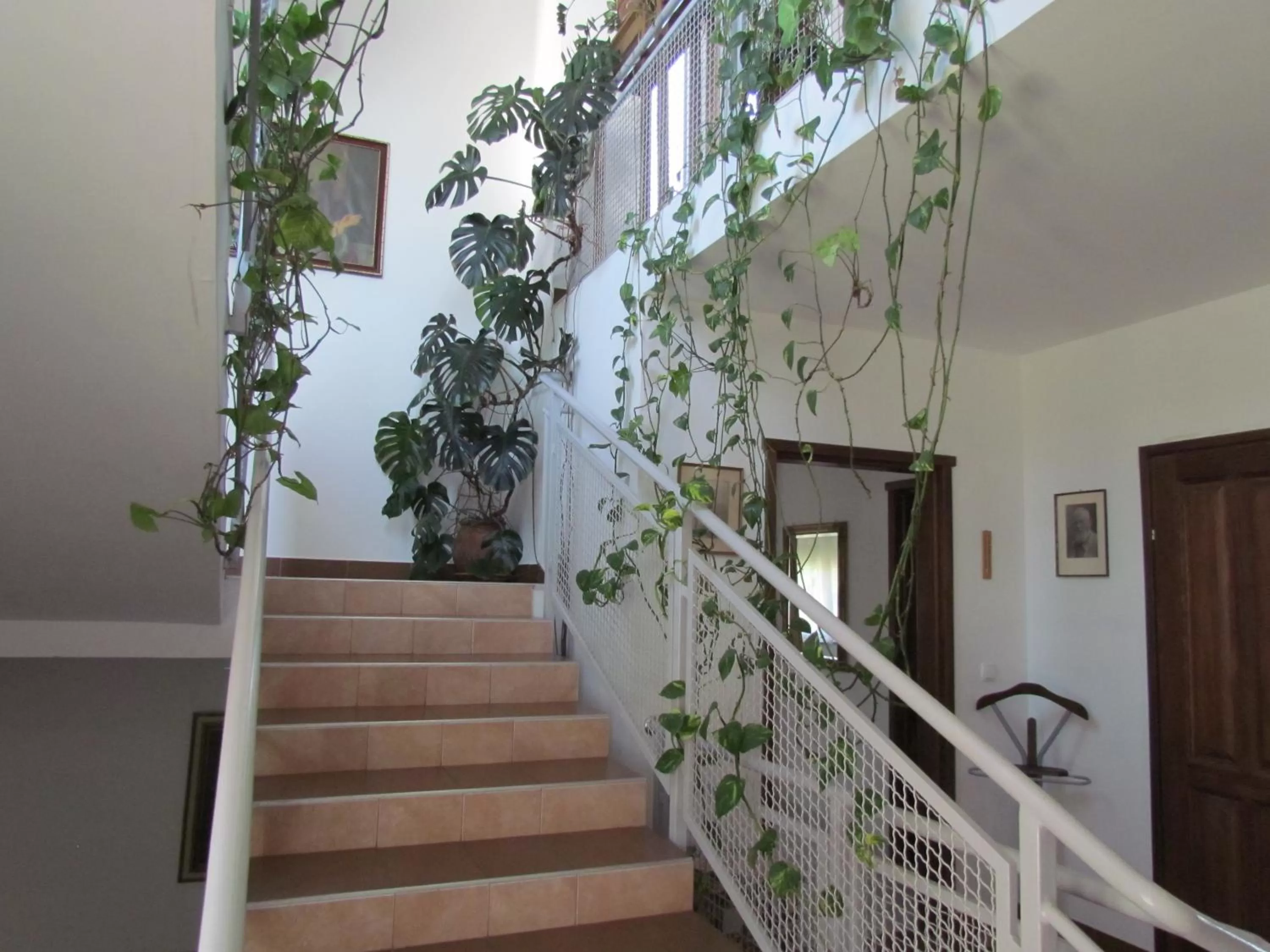 Lobby or reception in Pansion Vila Vanda