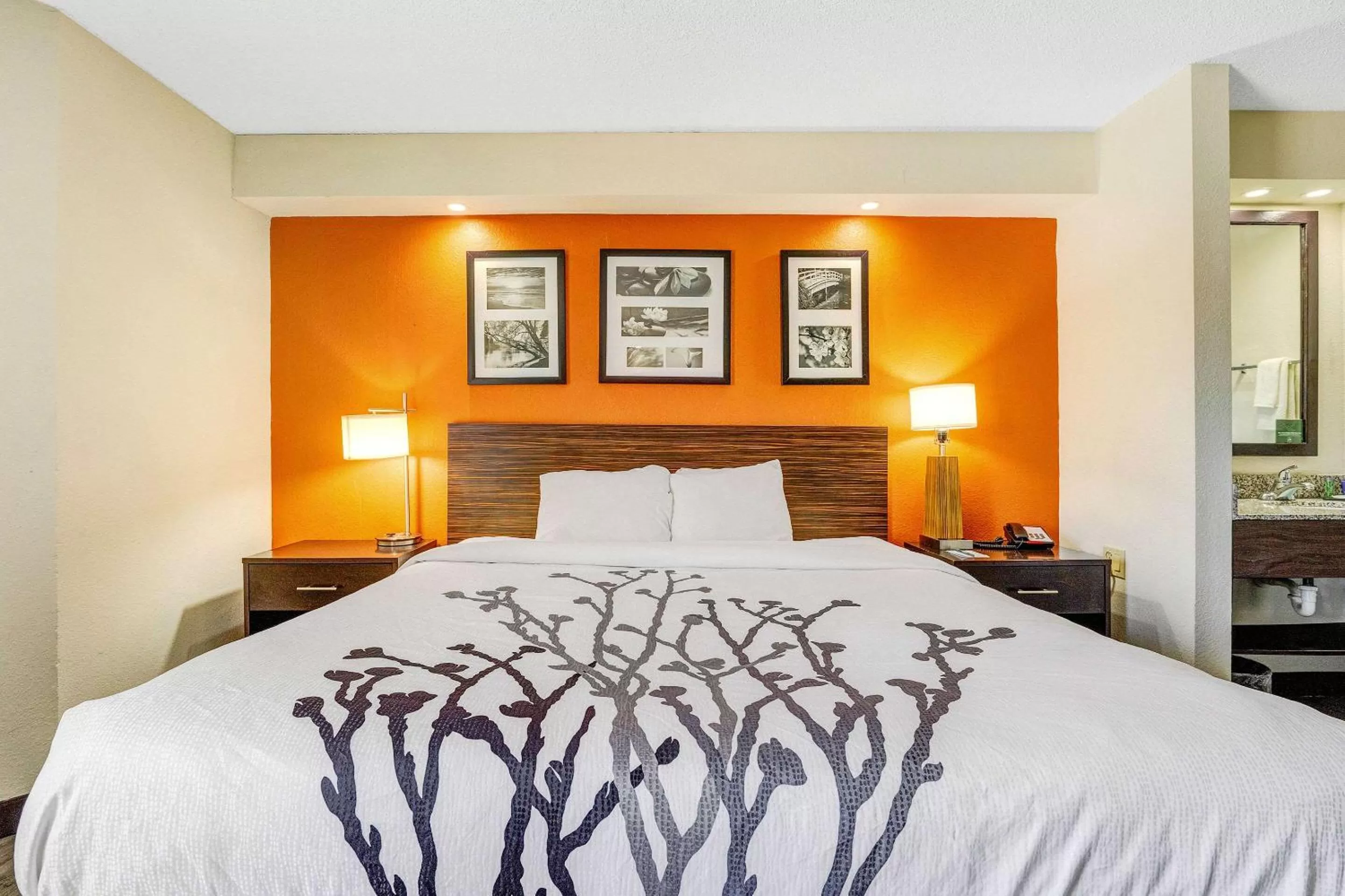 Photo of the whole room, Bed in Sleep Inn Leesburg Chain of Lakes