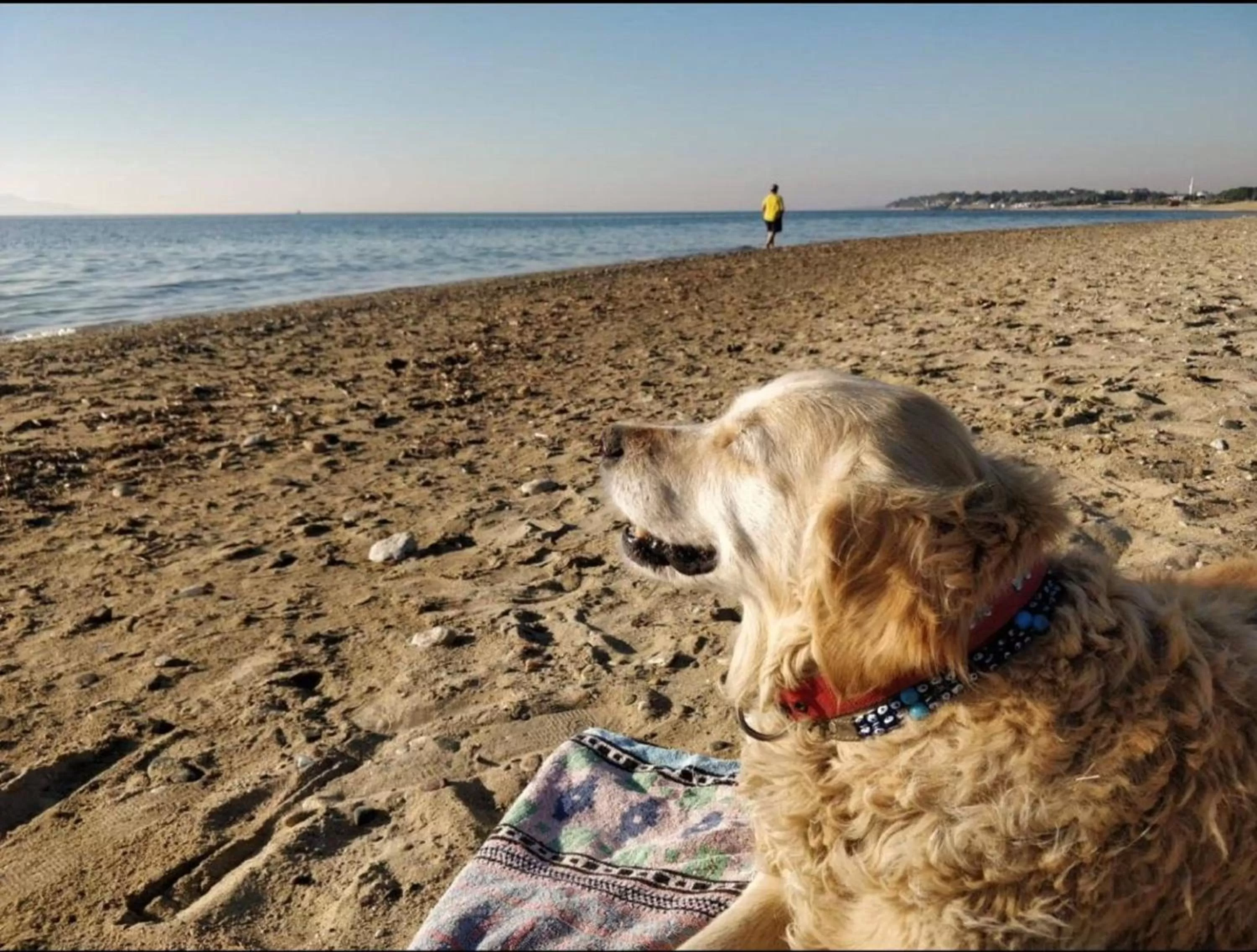 Beach in Ede Apart Otel
