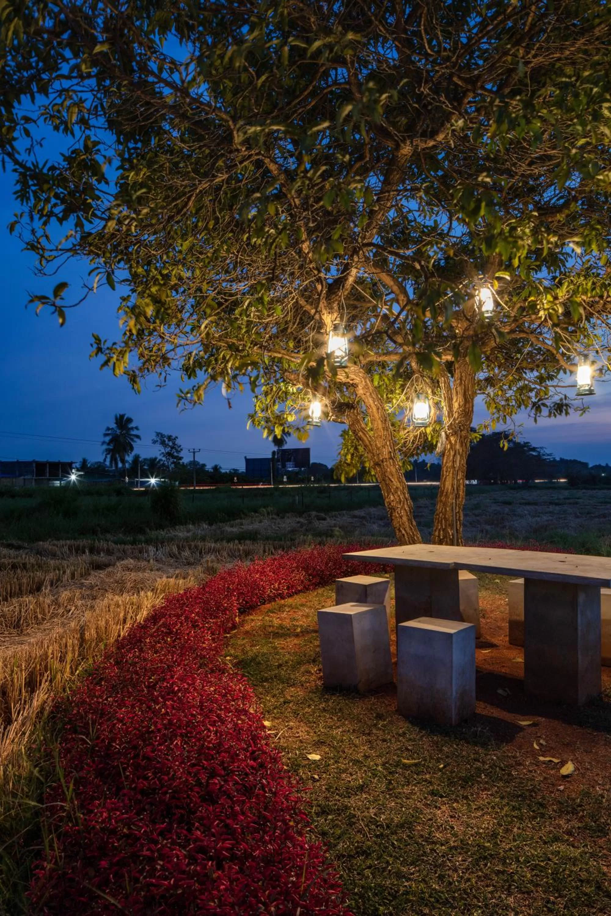 Garden in Kubura Resort