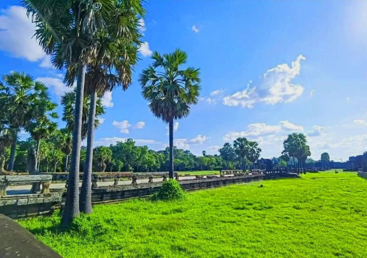 Natural landscape, Garden in Ladear Privilege Rooms