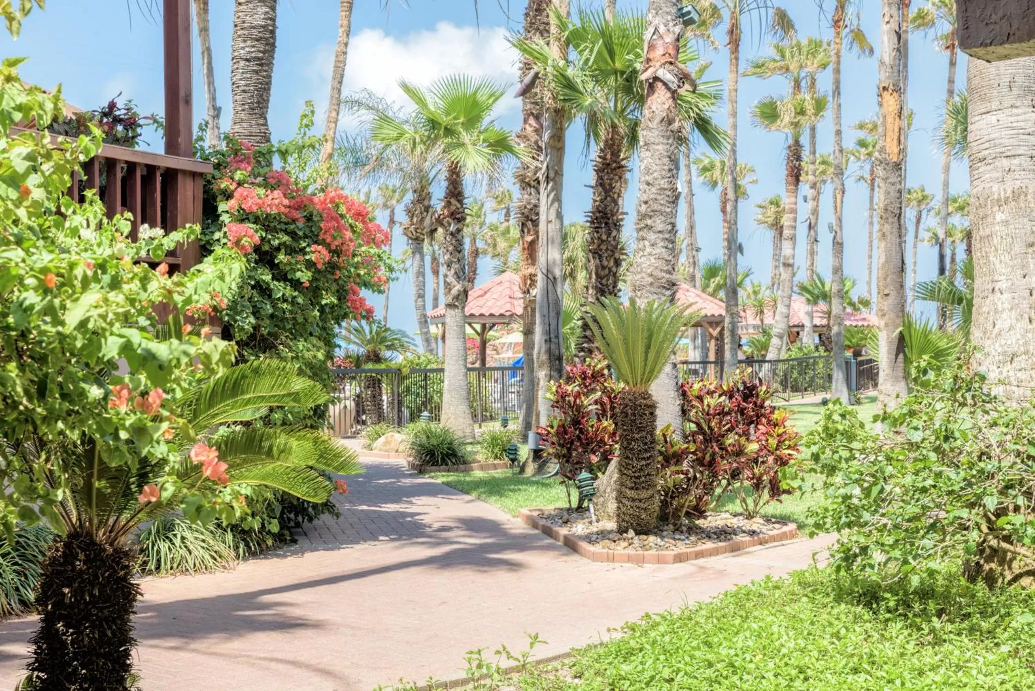 Garden in Isla Grand Beach Resort