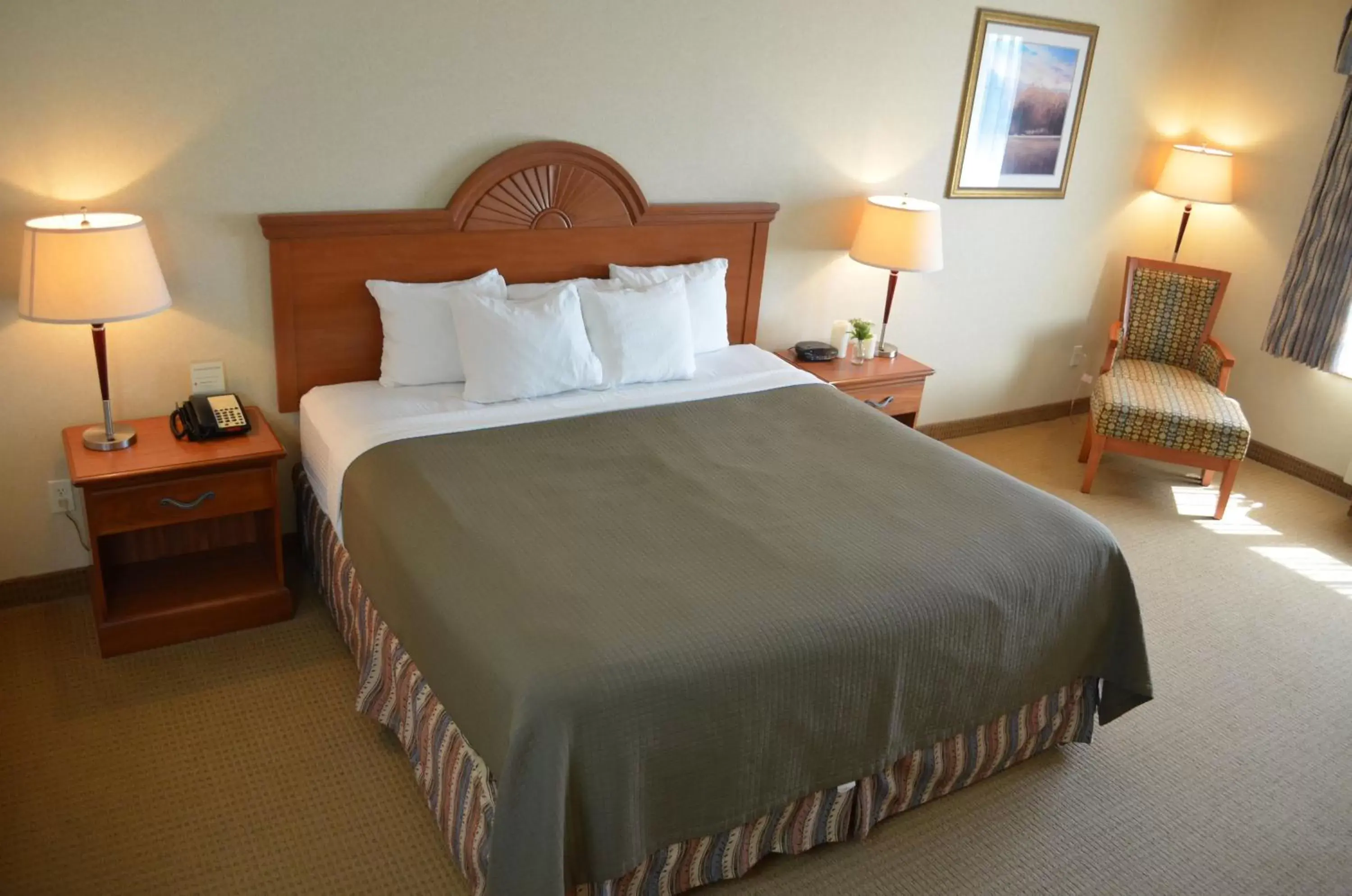 King Room - single occupancy in Red Coach Inn & Suites King Room - single occupancy in Red Coach Inn & Suites