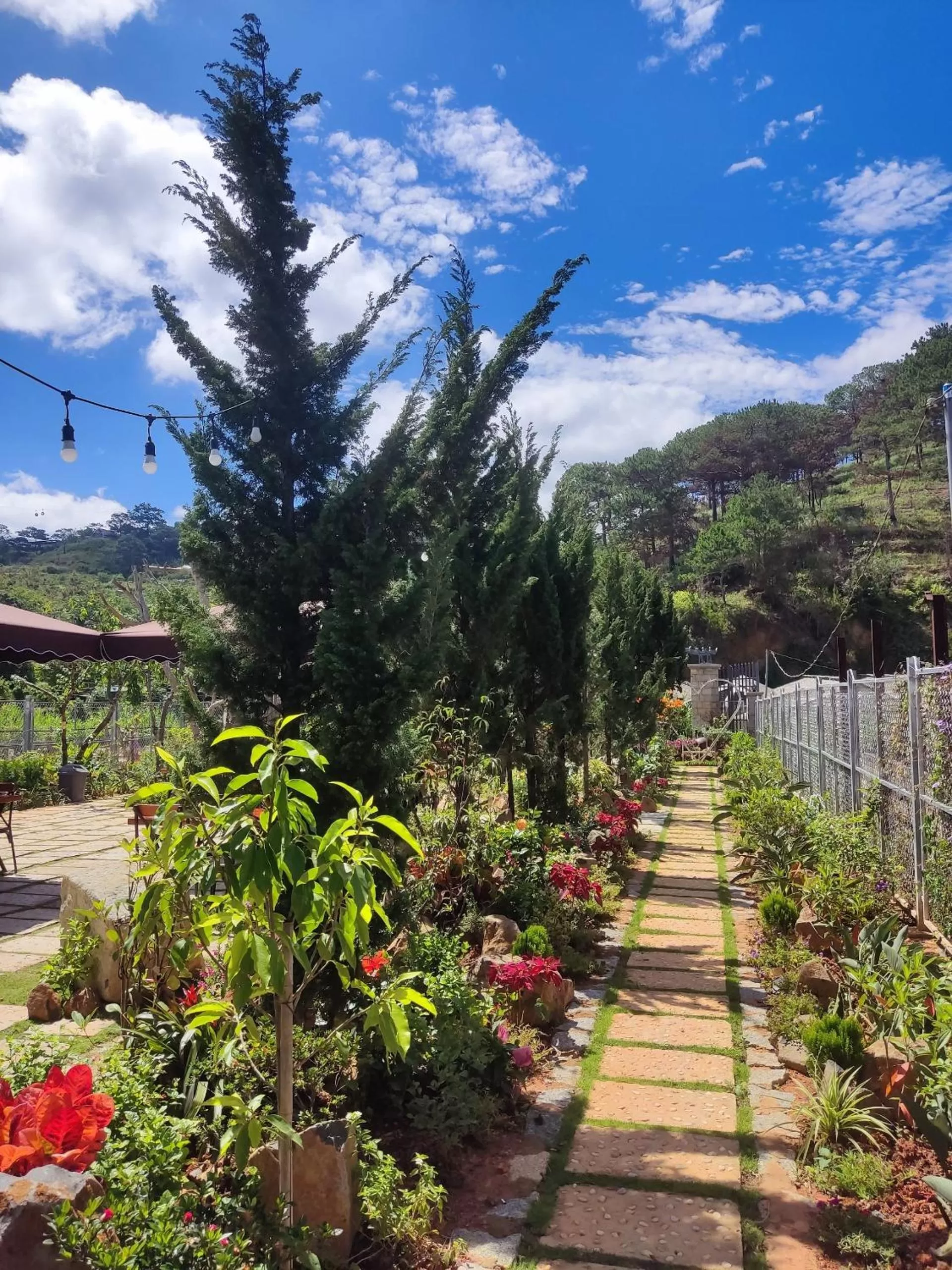 Garden in GREENECO DA LAT HOTEL - Khách sạn Green Eco Đà Lạt
