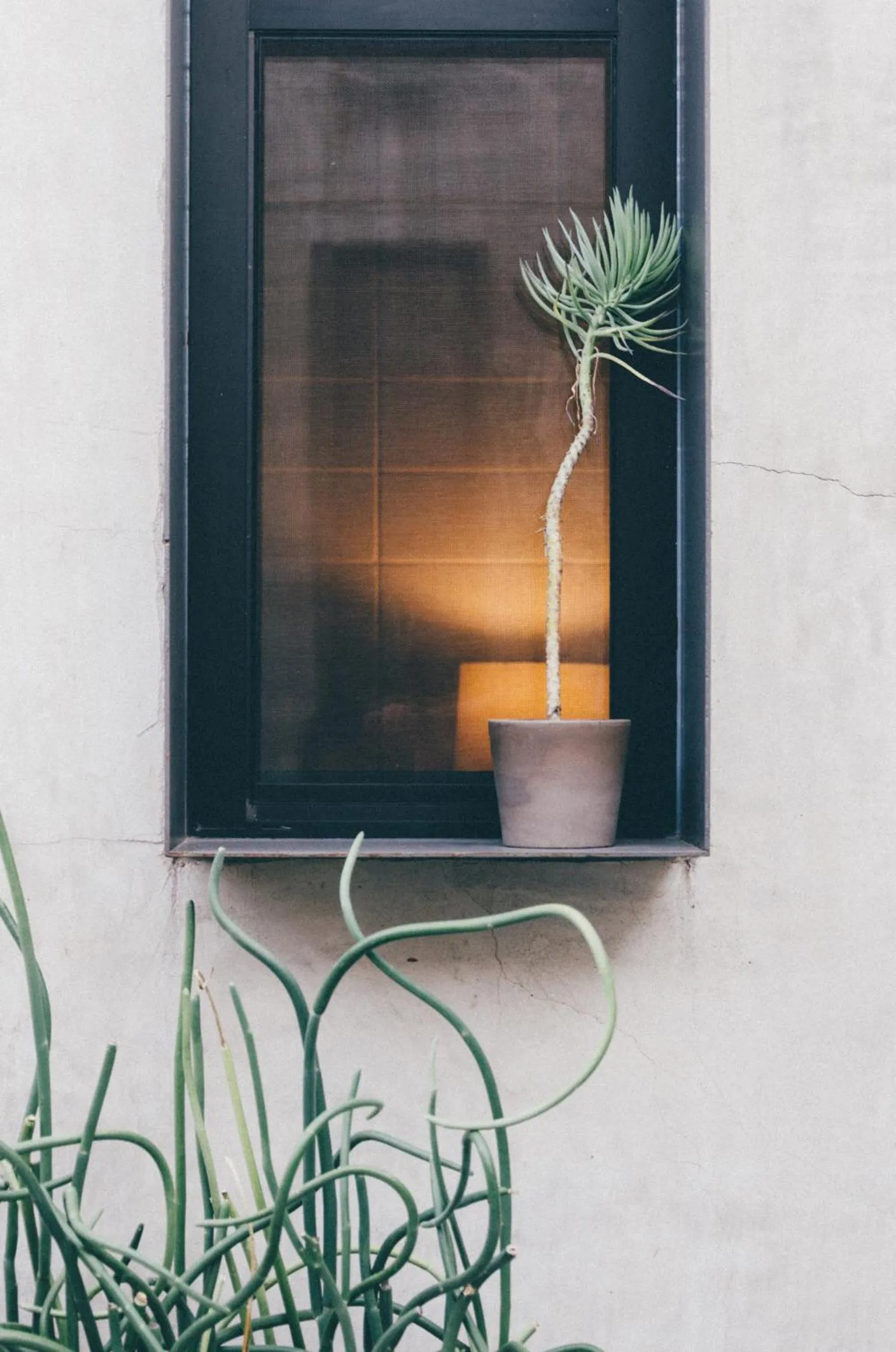Decorative detail in Heywood Hotel