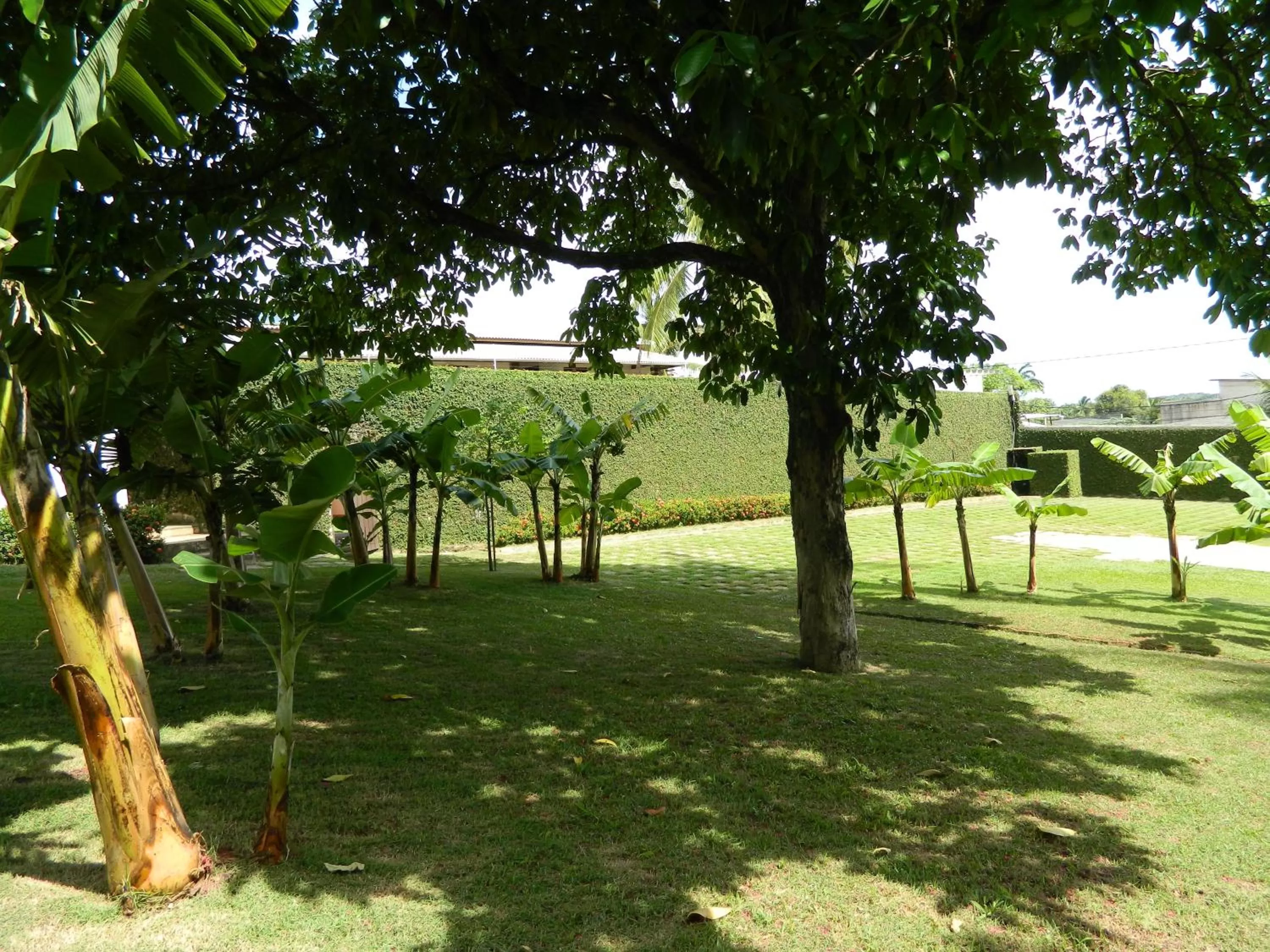 Day, Garden in Hotel Pousada Salvador Paradise