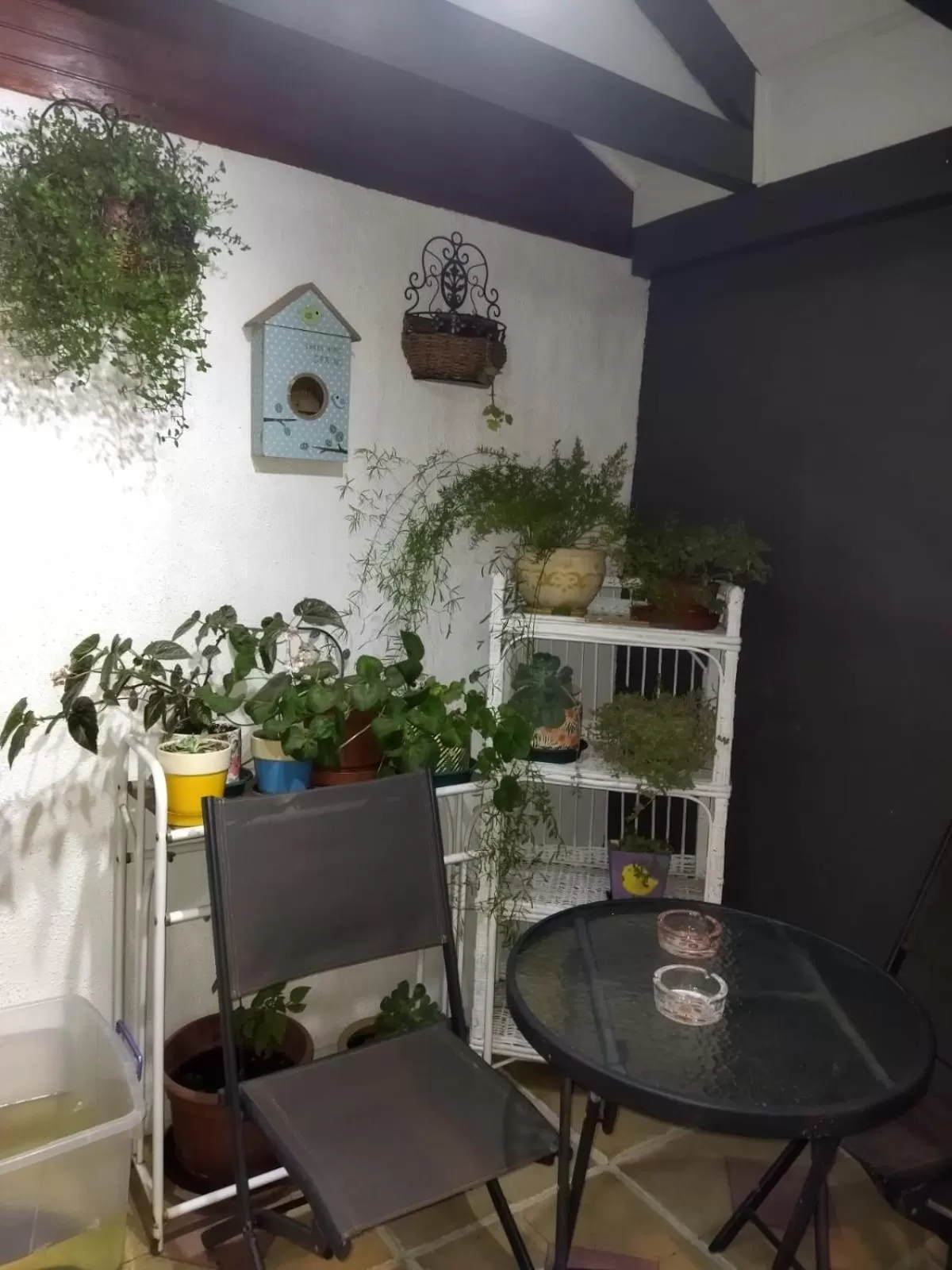 Balcony/Terrace in Casa Roble Añejo Bed & Breakfast