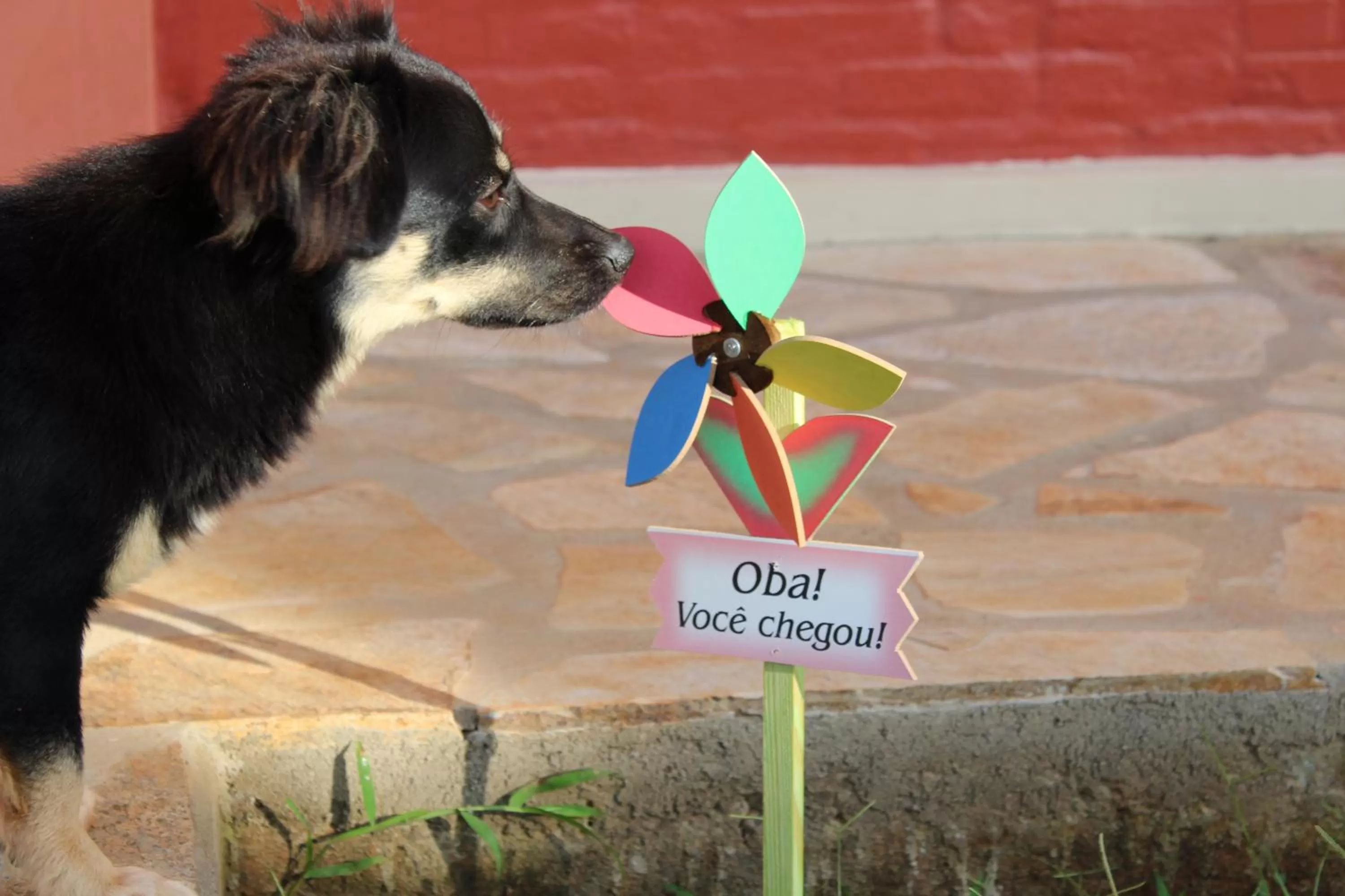 Pousada Morro dos Ventos