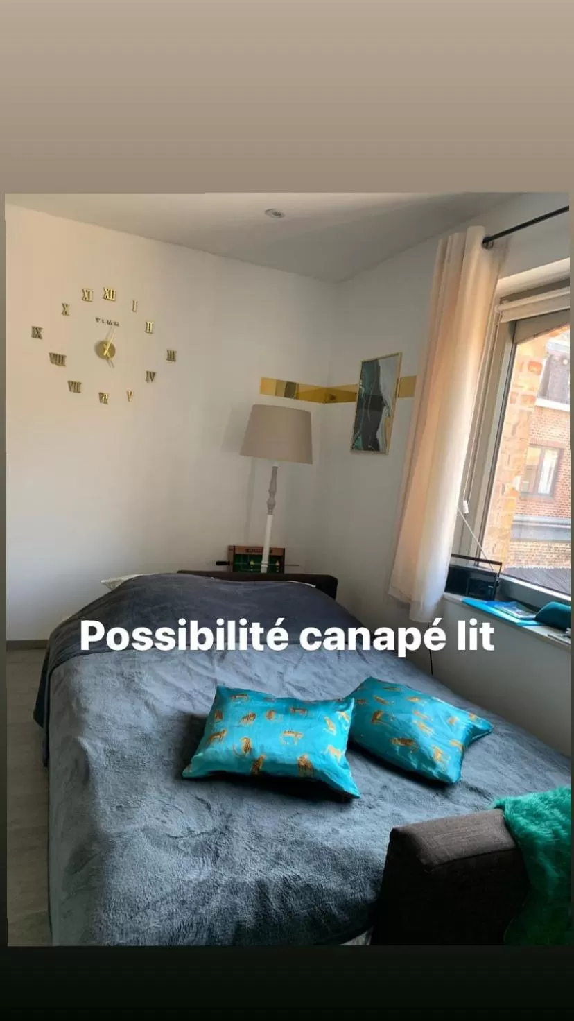 Bed in Au petit nid Froissart