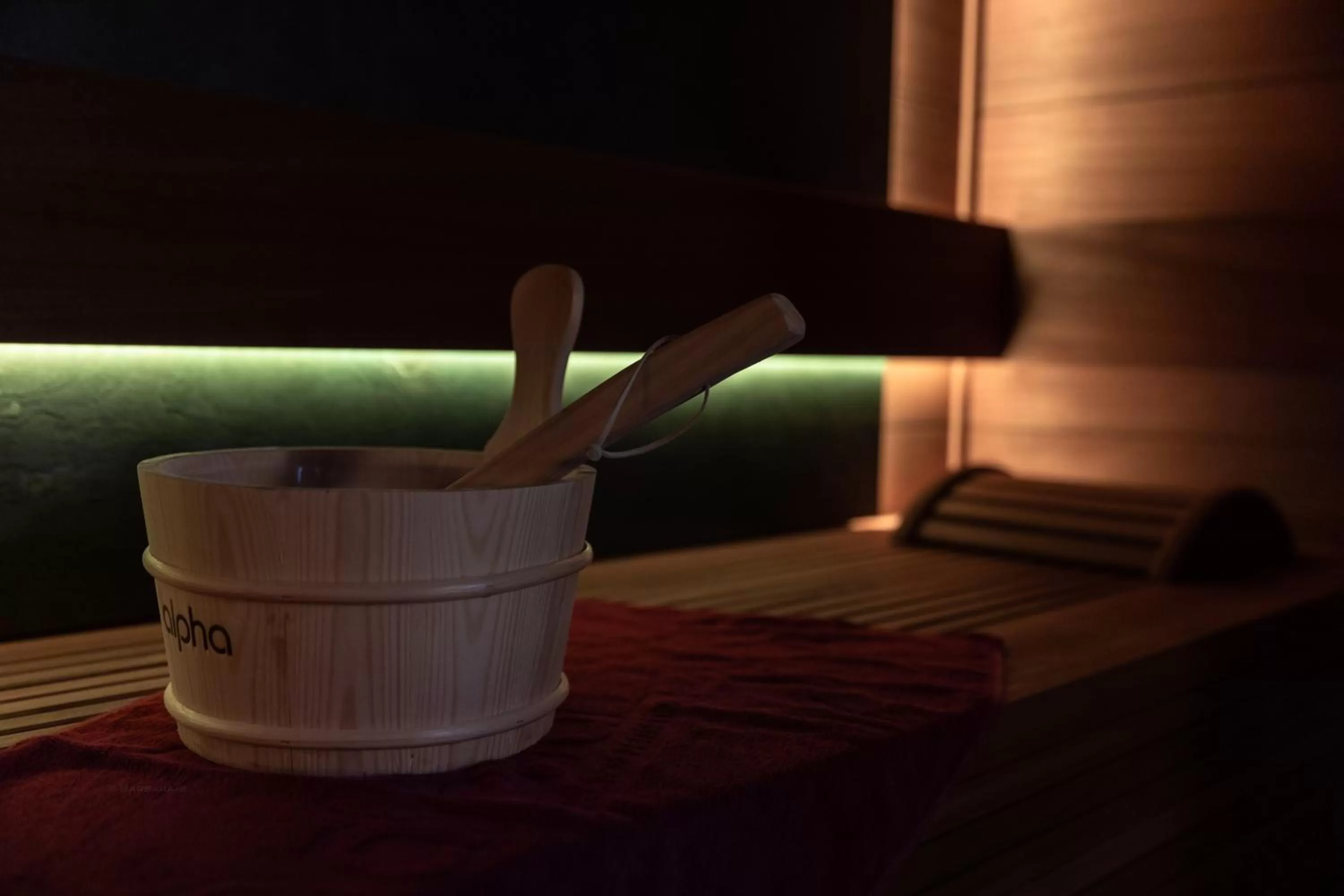 Spa and wellness centre/facilities, Spa/Wellness in Petit-Roannay