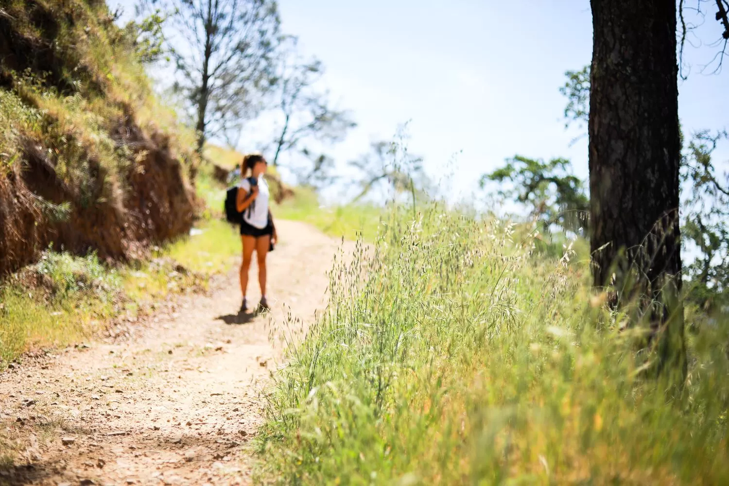 Activities in Calistoga Motor Lodge and Spa