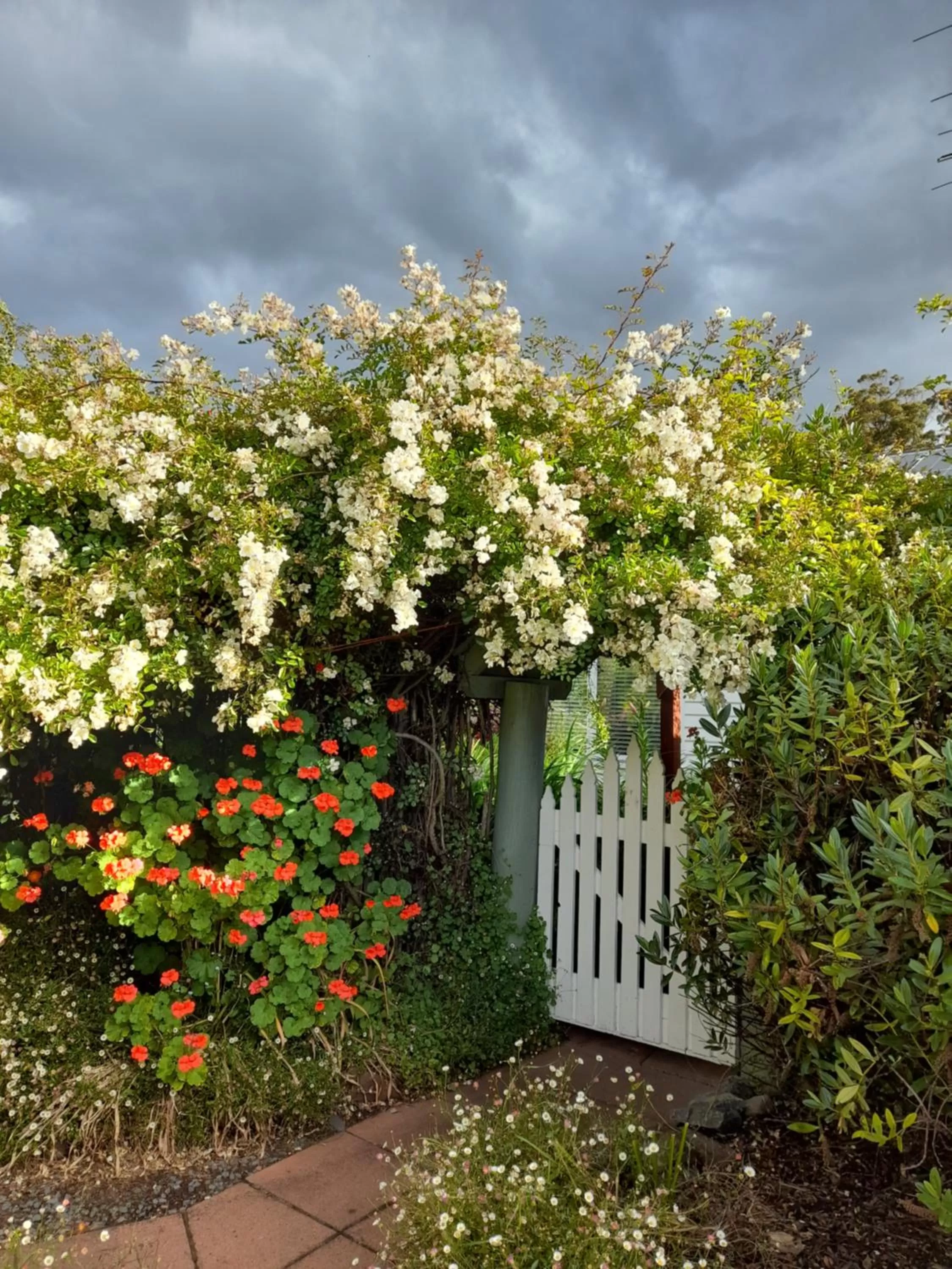 Hillside Bed and Breakfast
