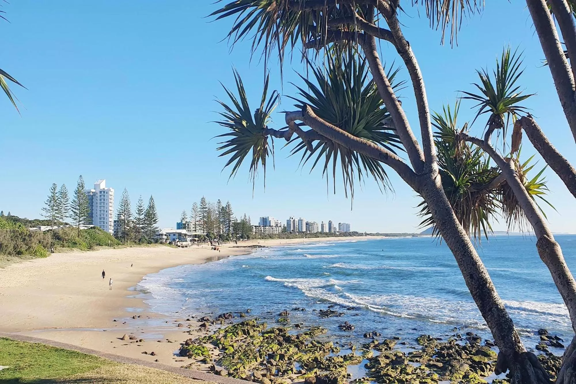 Natural landscape in Alex Seaside Resort