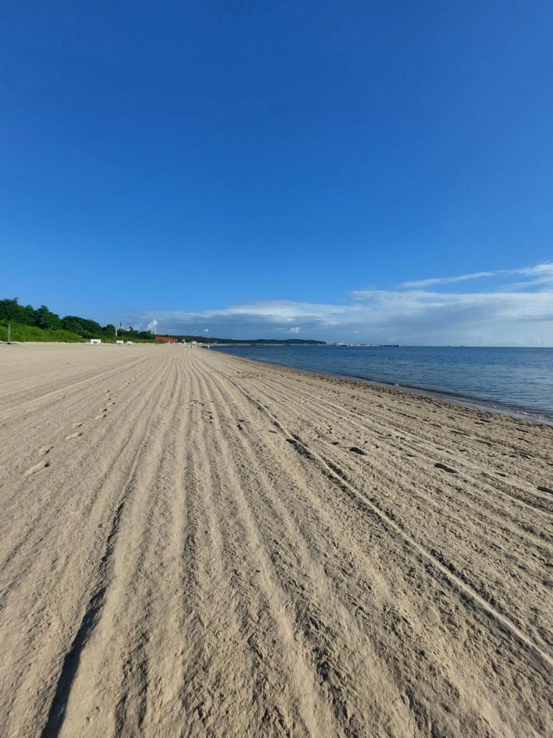 Beach in Hotel Testa