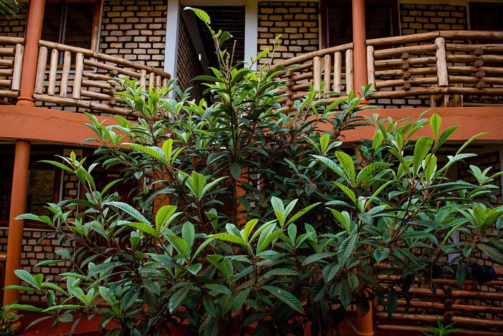 Day, Property Building in Elite Backpackers Services