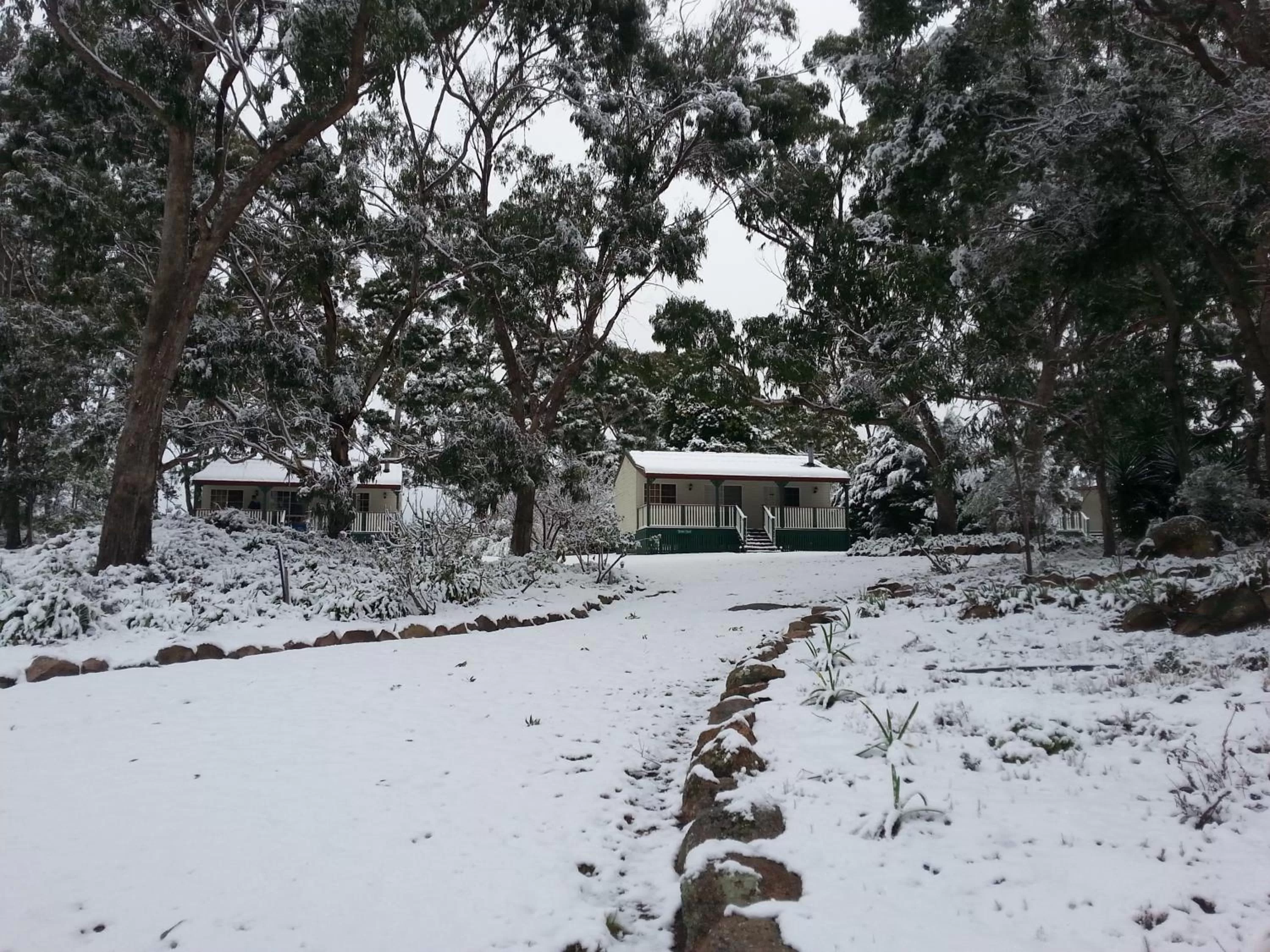 Natural landscape in Granite Gardens Cottages & Lake Retreat